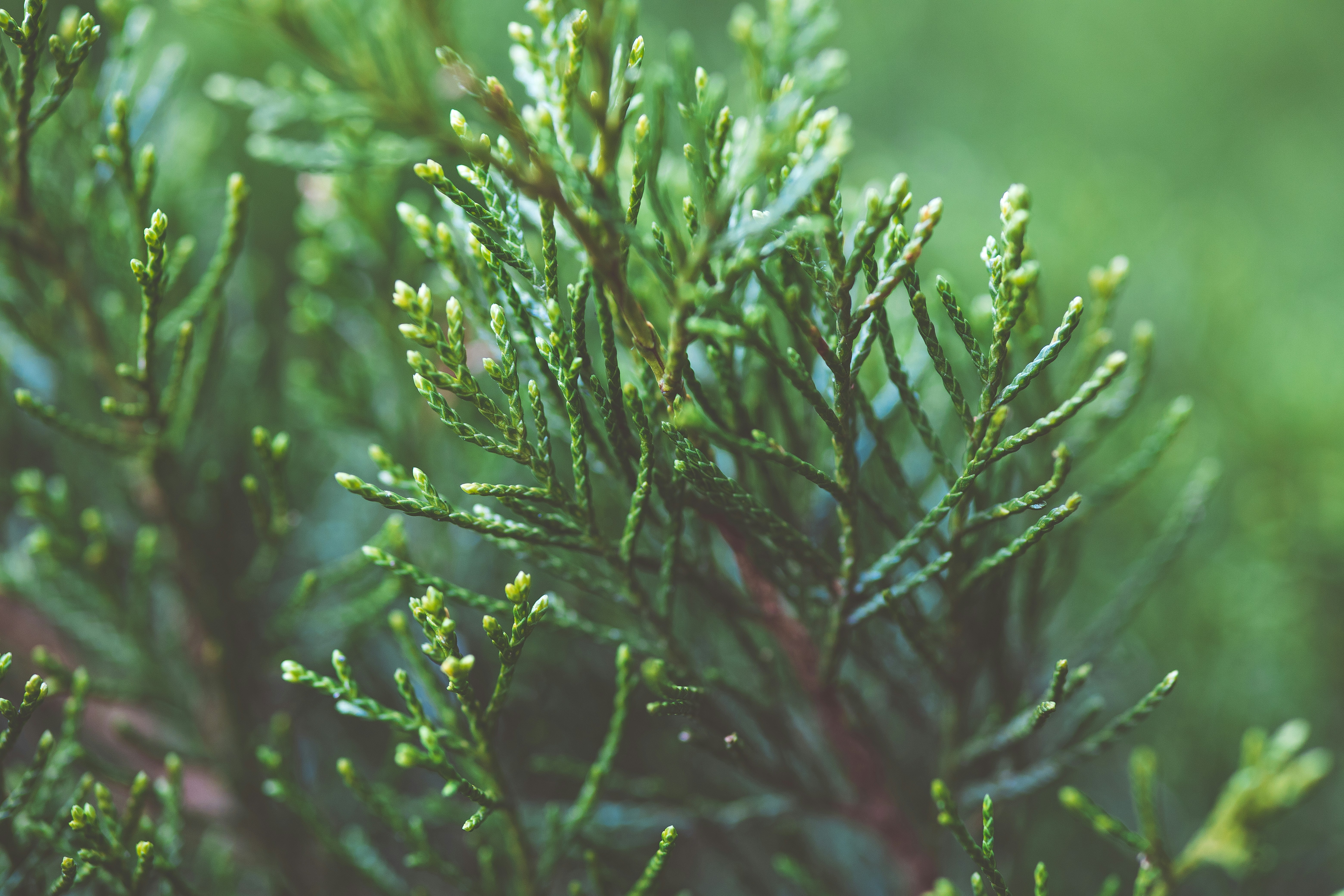 Photo by rrodriguesim