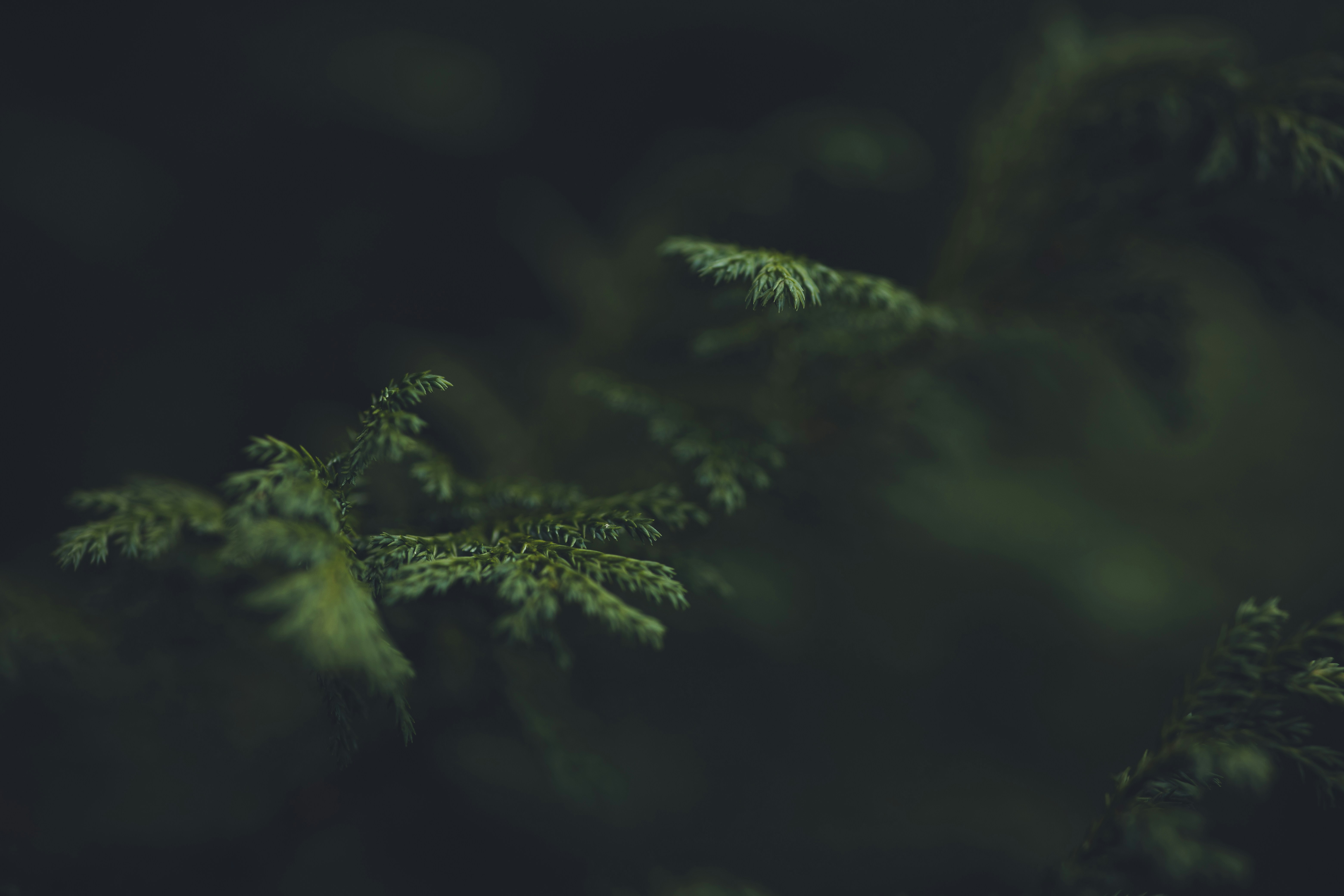 Photo by rrodriguesim