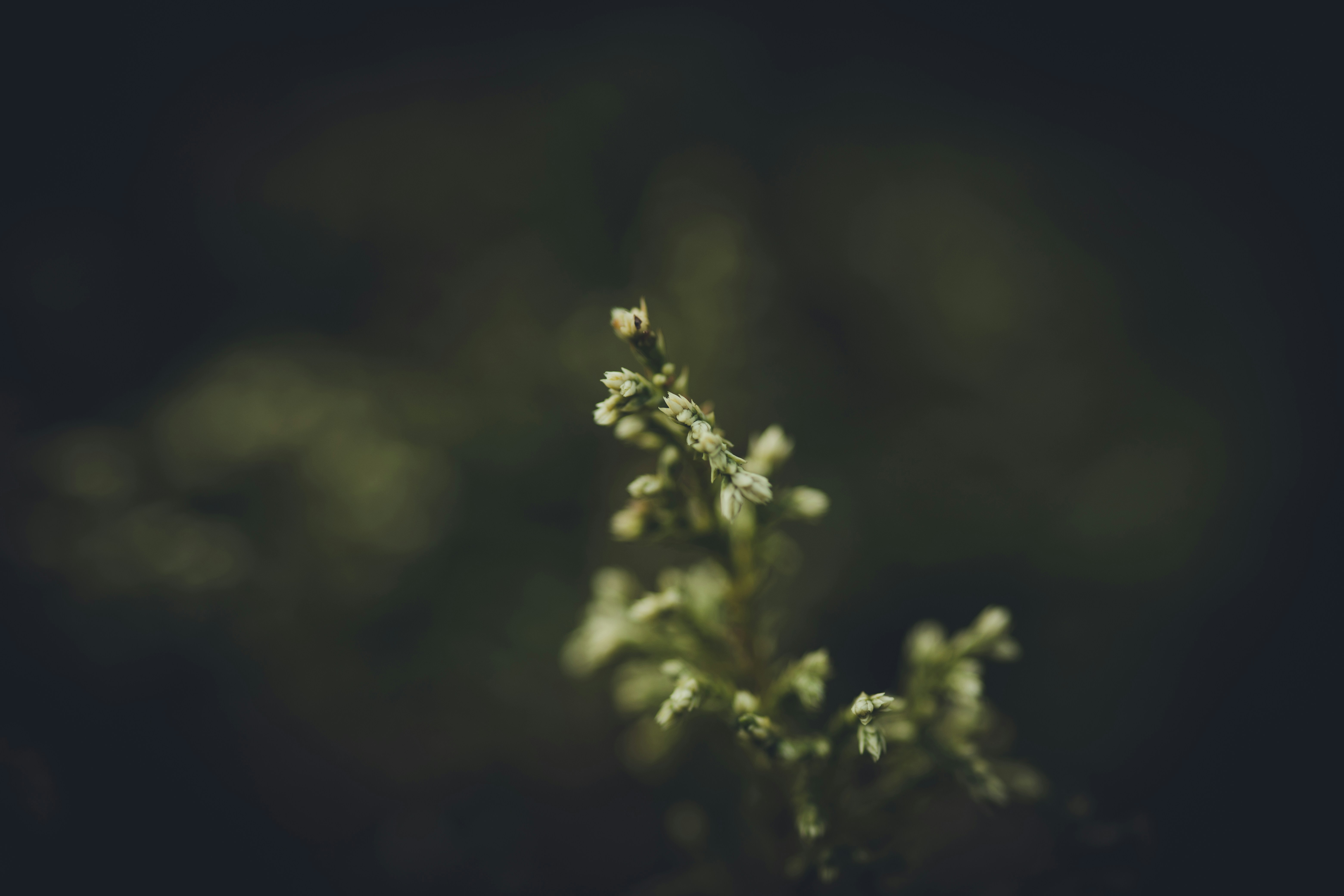 Photo by rrodriguesim