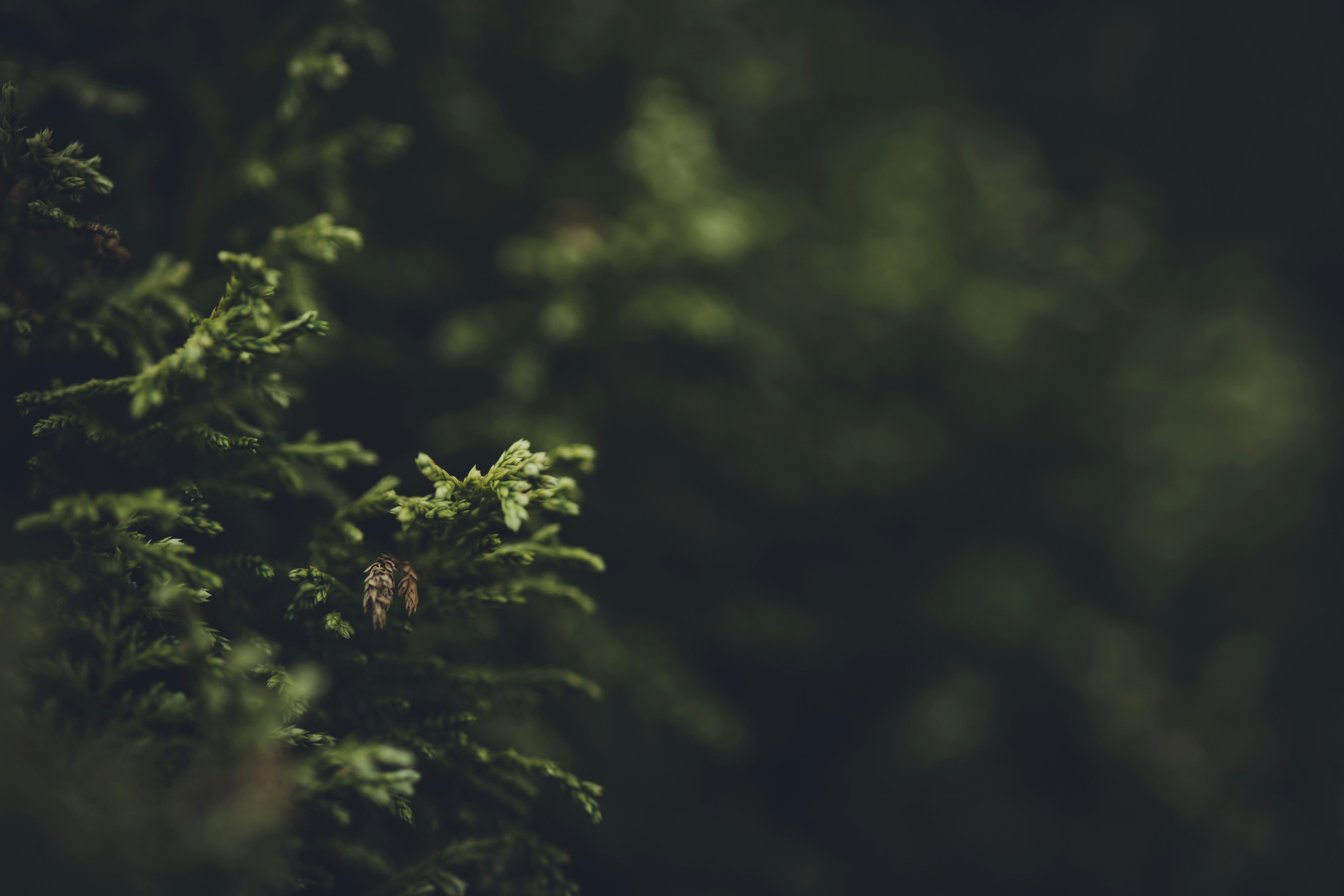 Photo by rrodriguesim