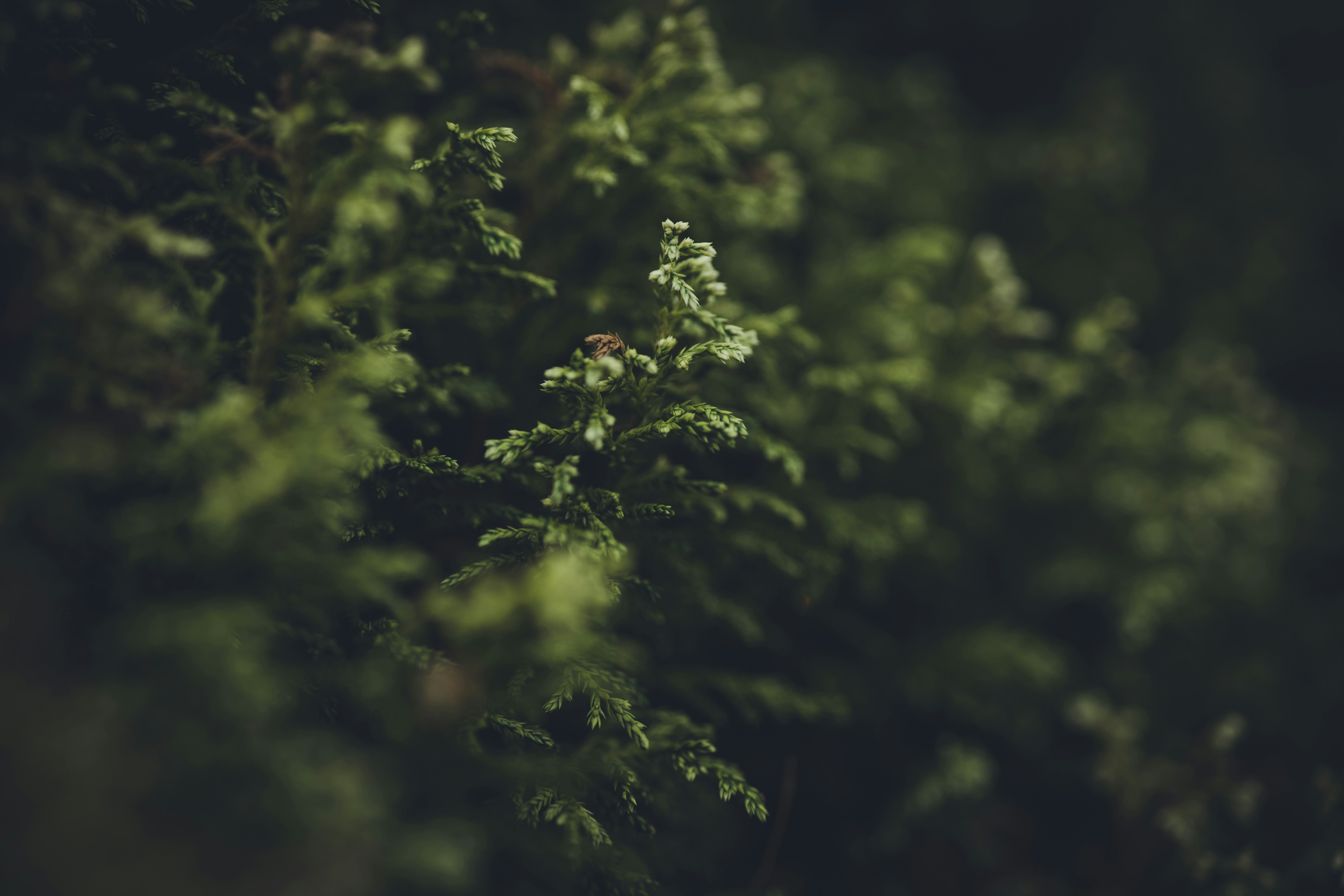 Photo by rrodriguesim