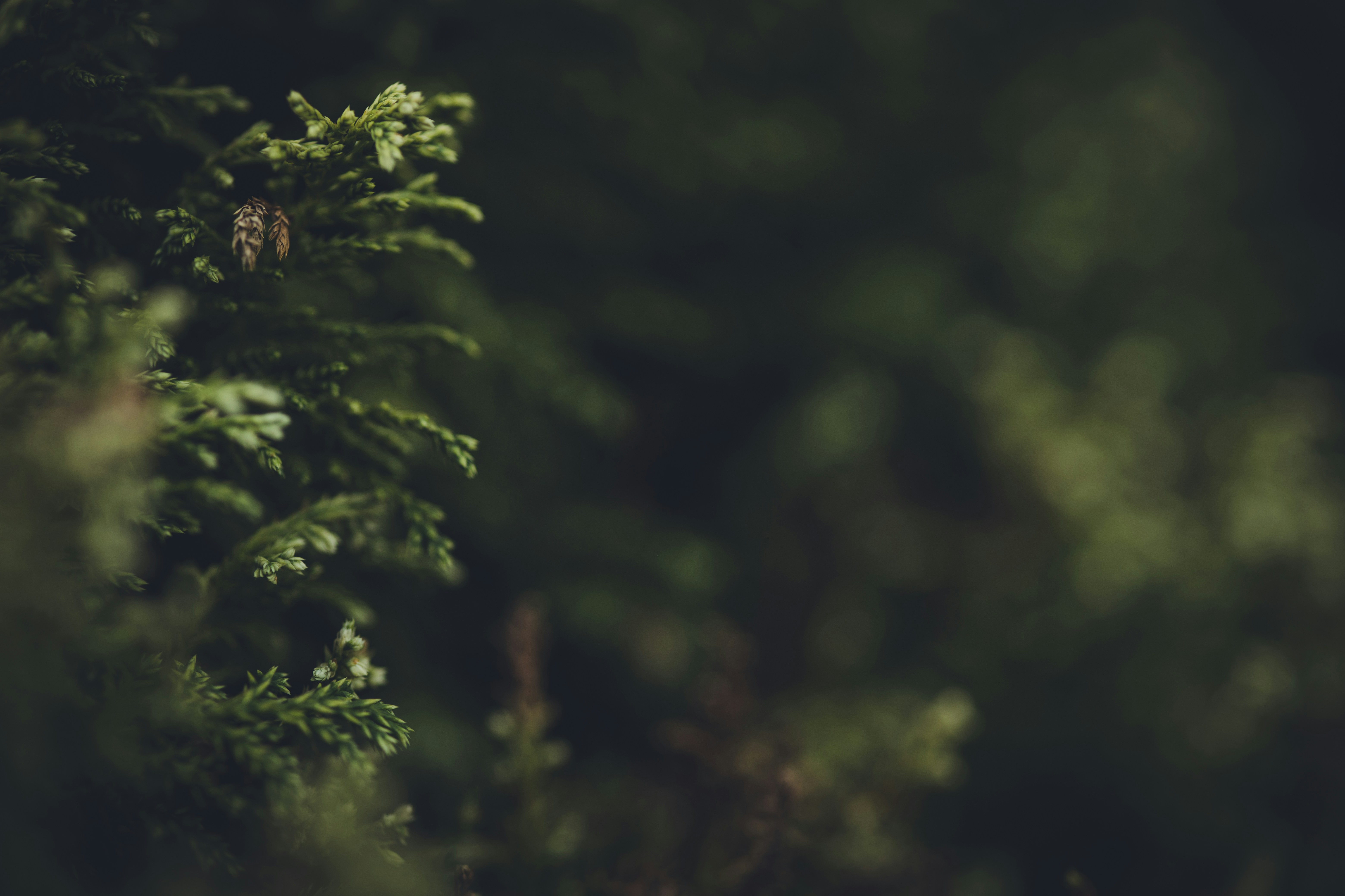 Photo by rrodriguesim