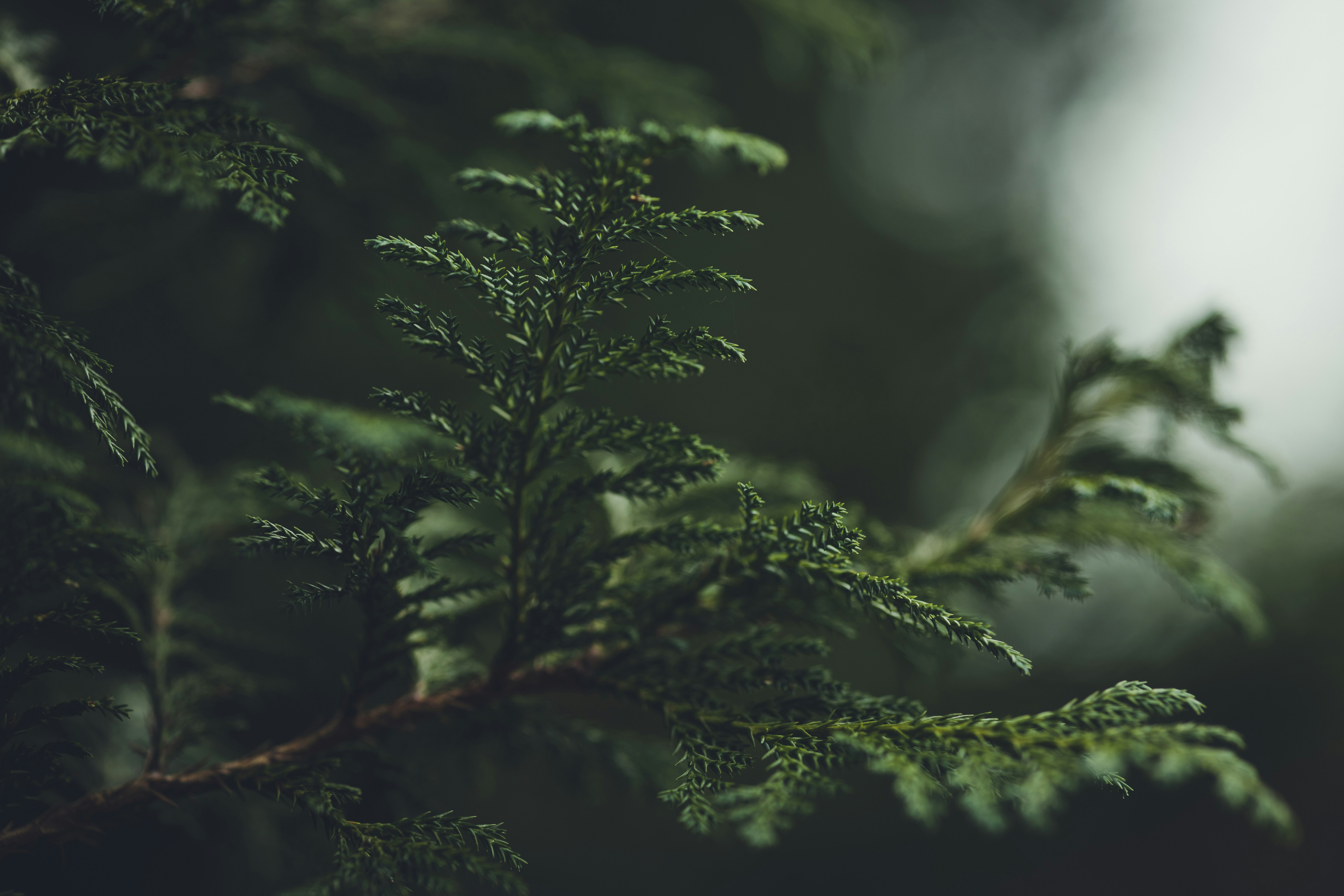 Photo by rrodriguesim