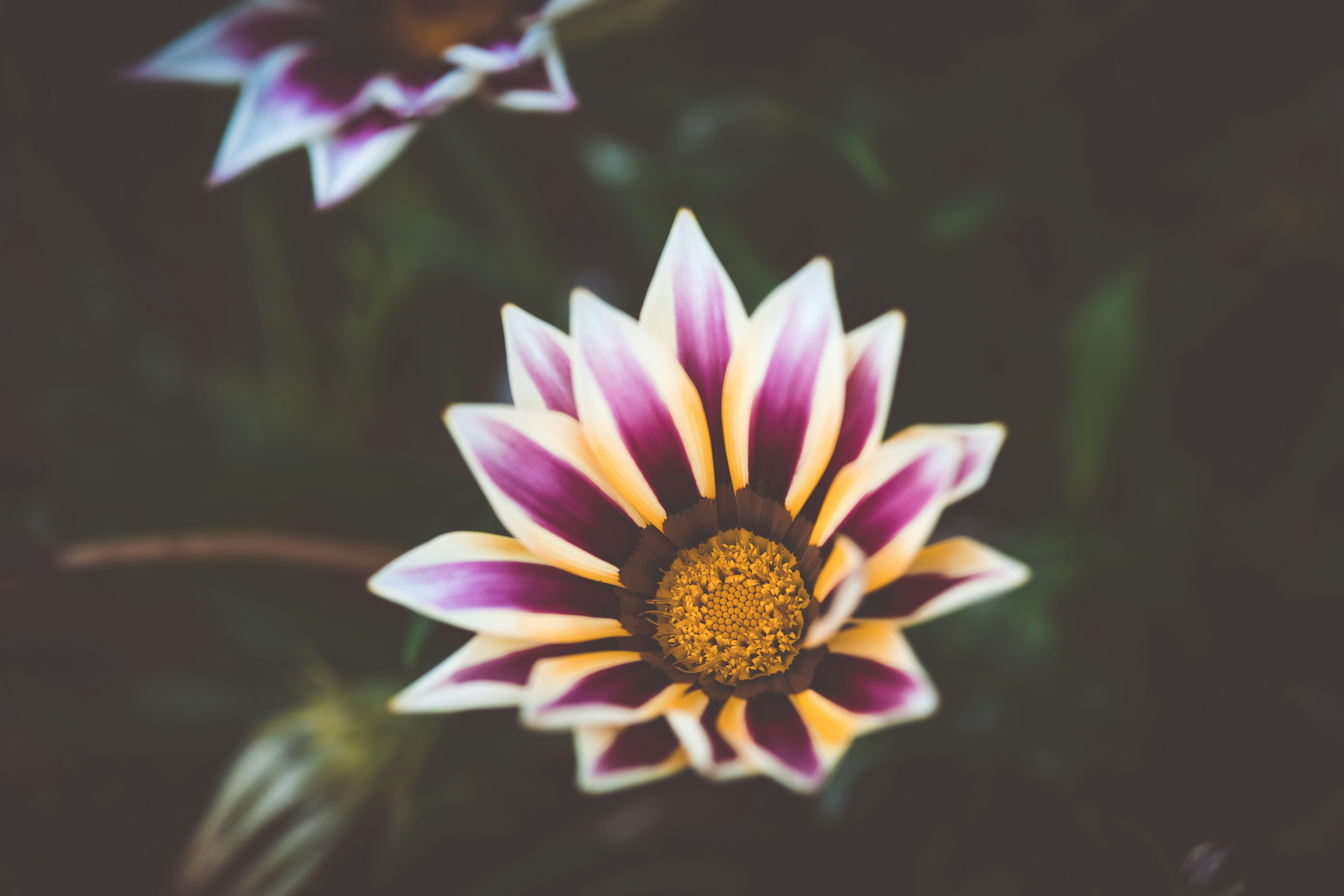 Photo by rrodriguesim