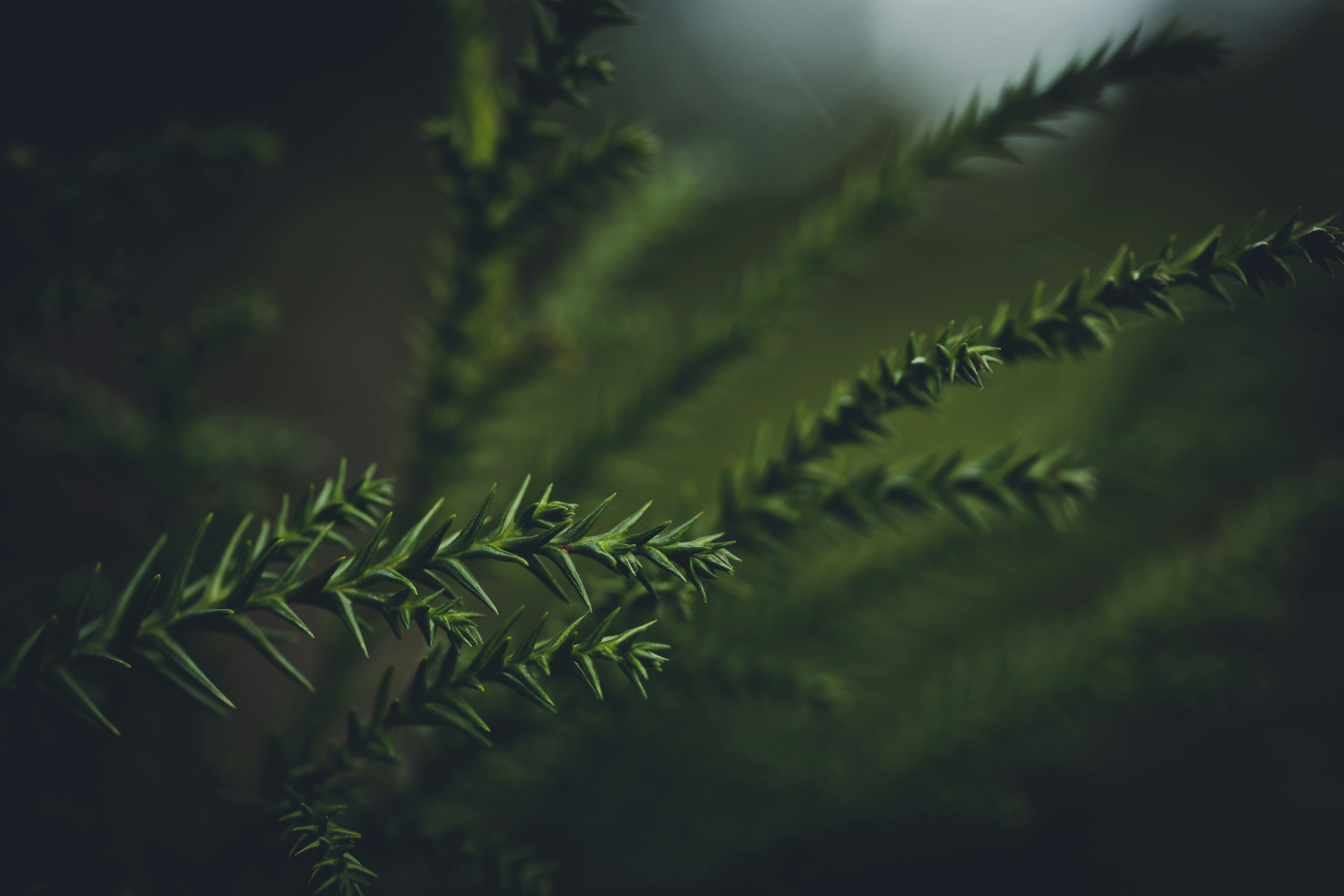 Photo by rrodriguesim