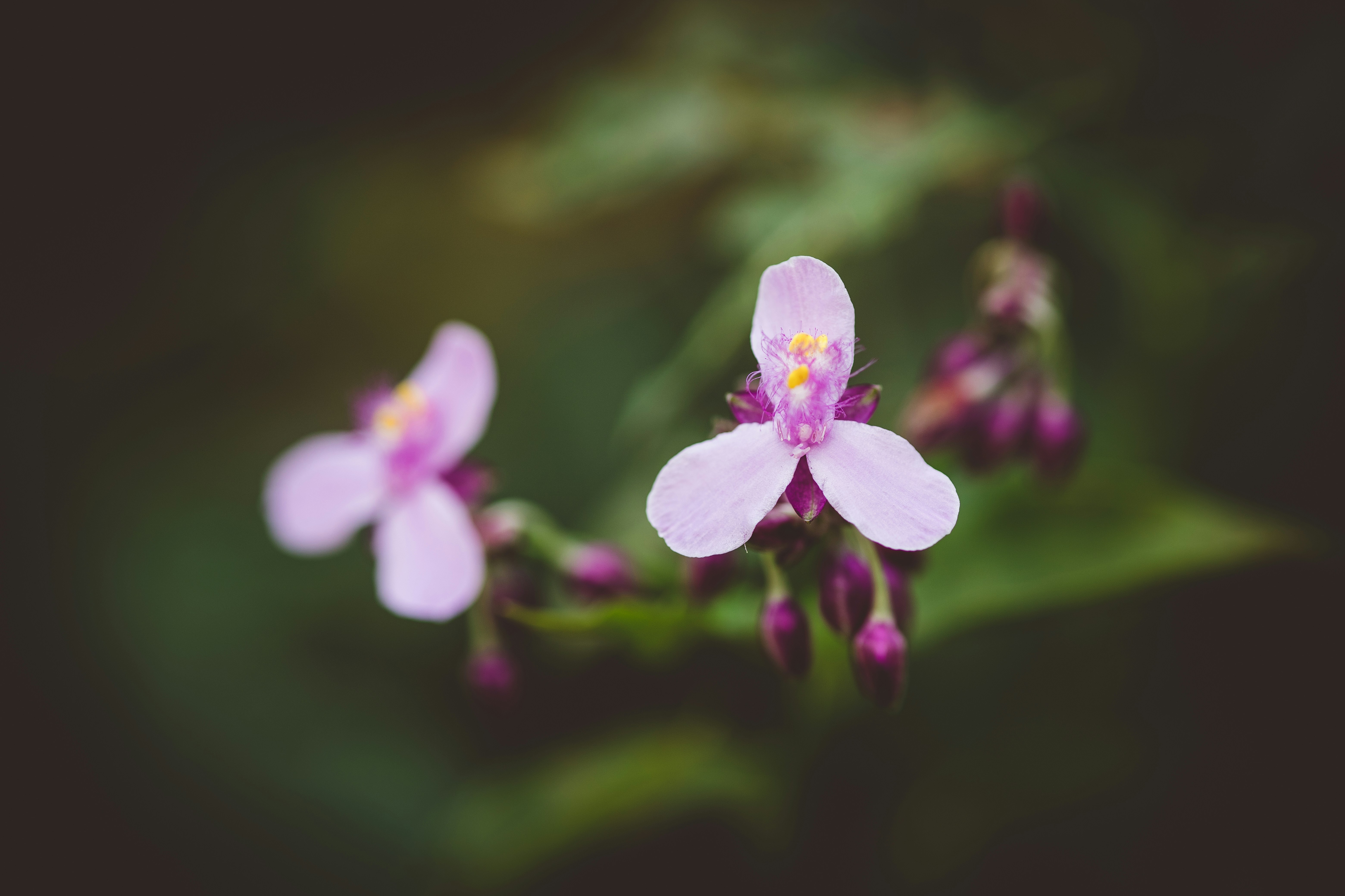 Photo by rrodriguesim