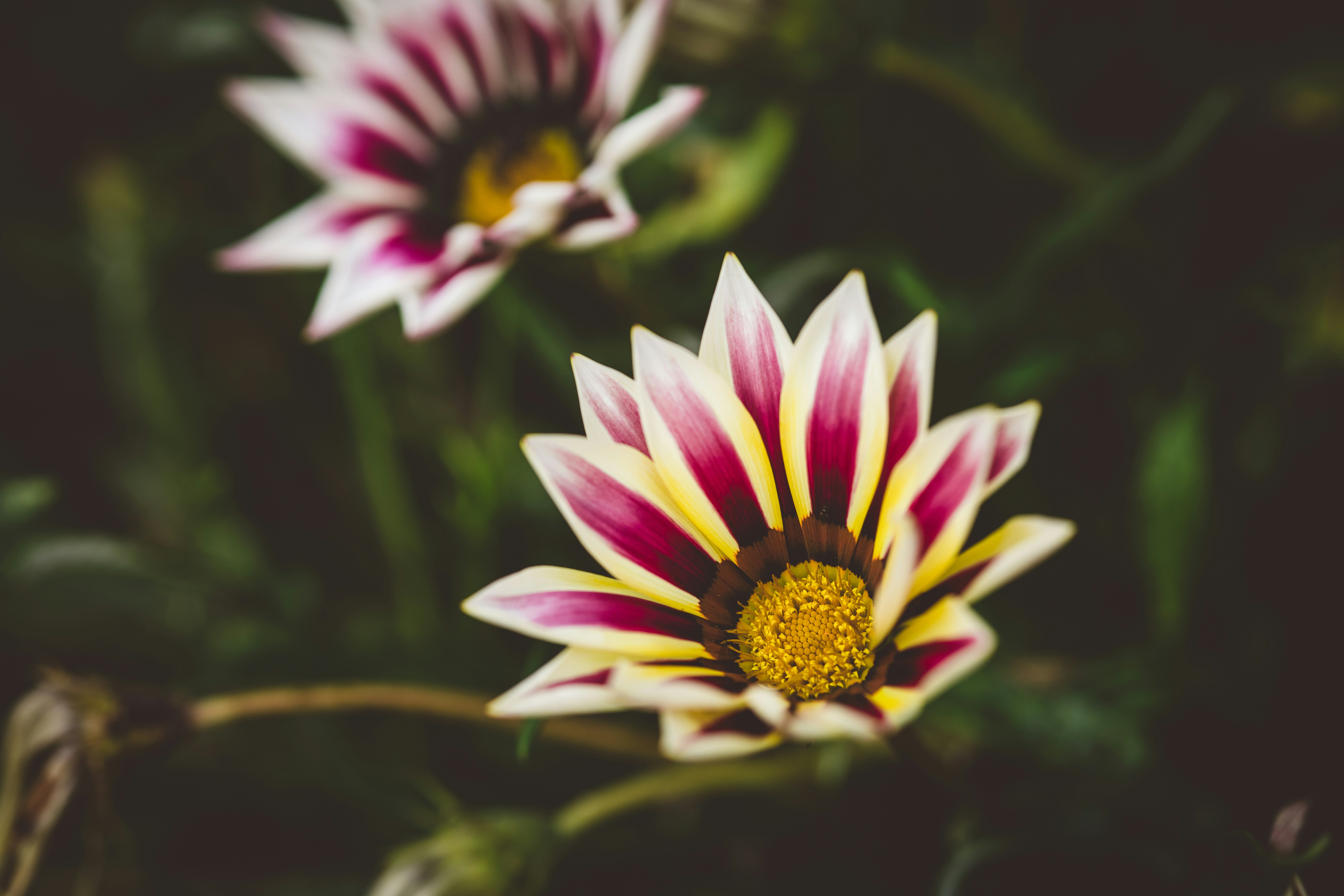 Photo by rrodriguesim