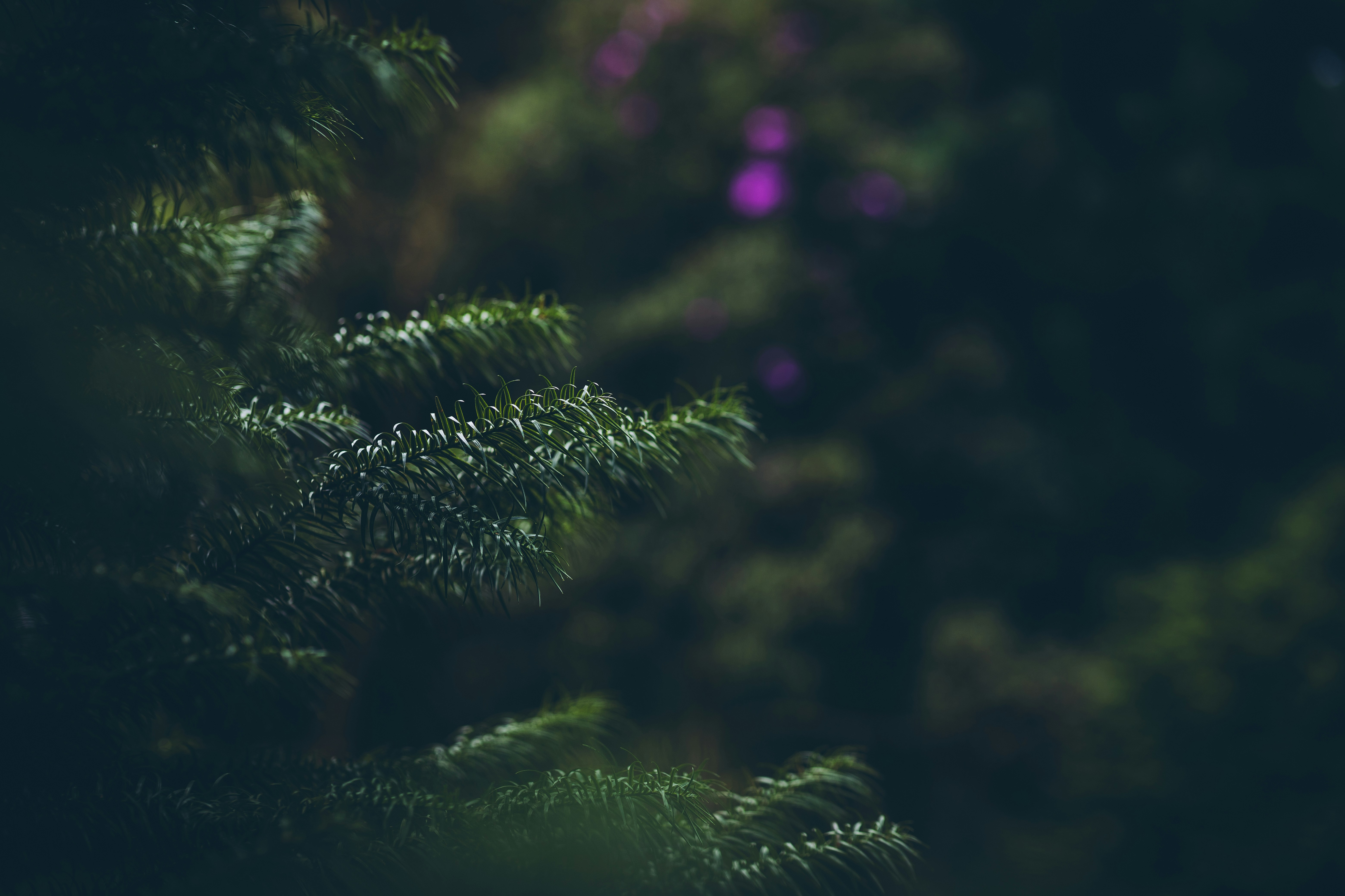 Photo by rrodriguesim