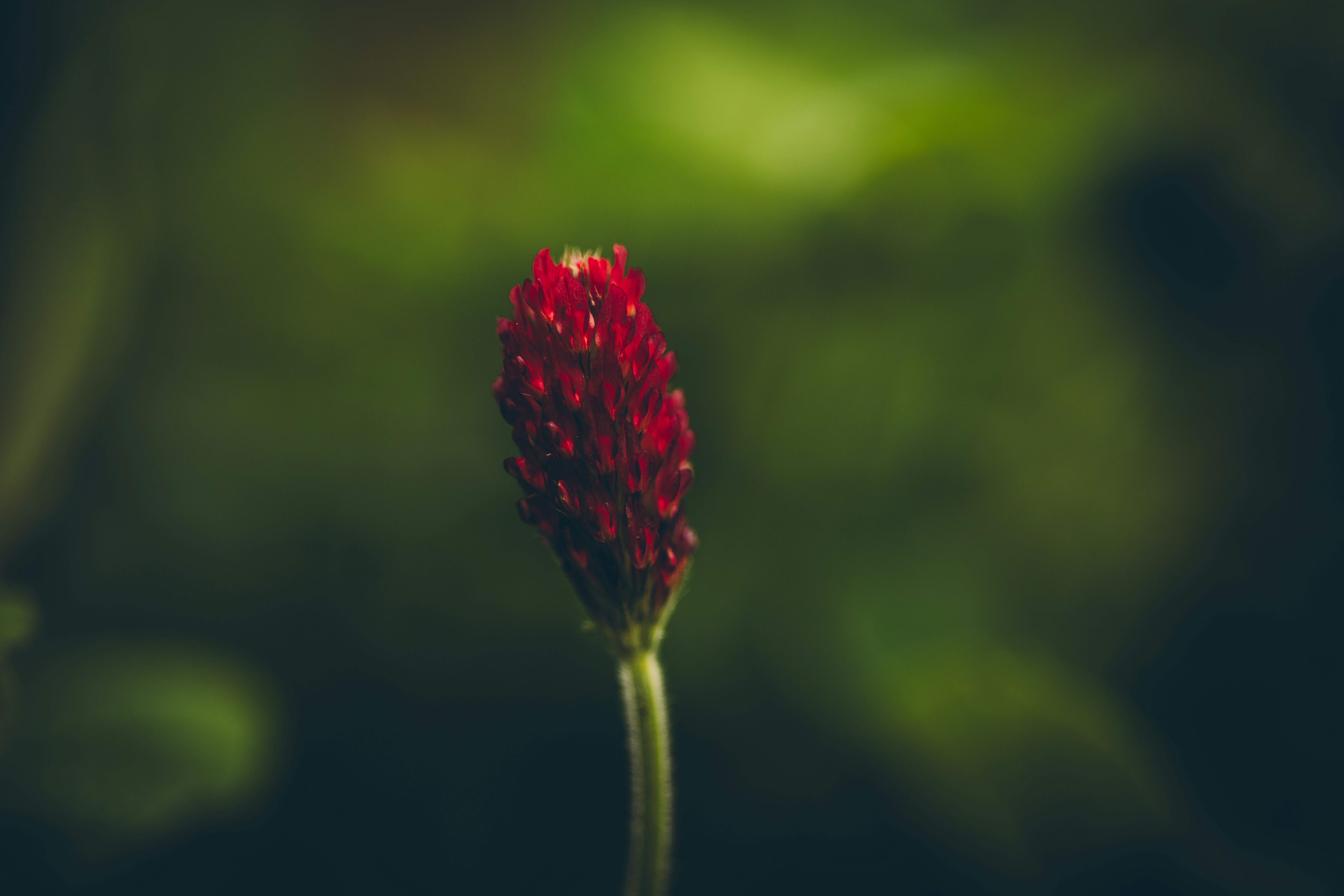 Photo by rrodriguesim