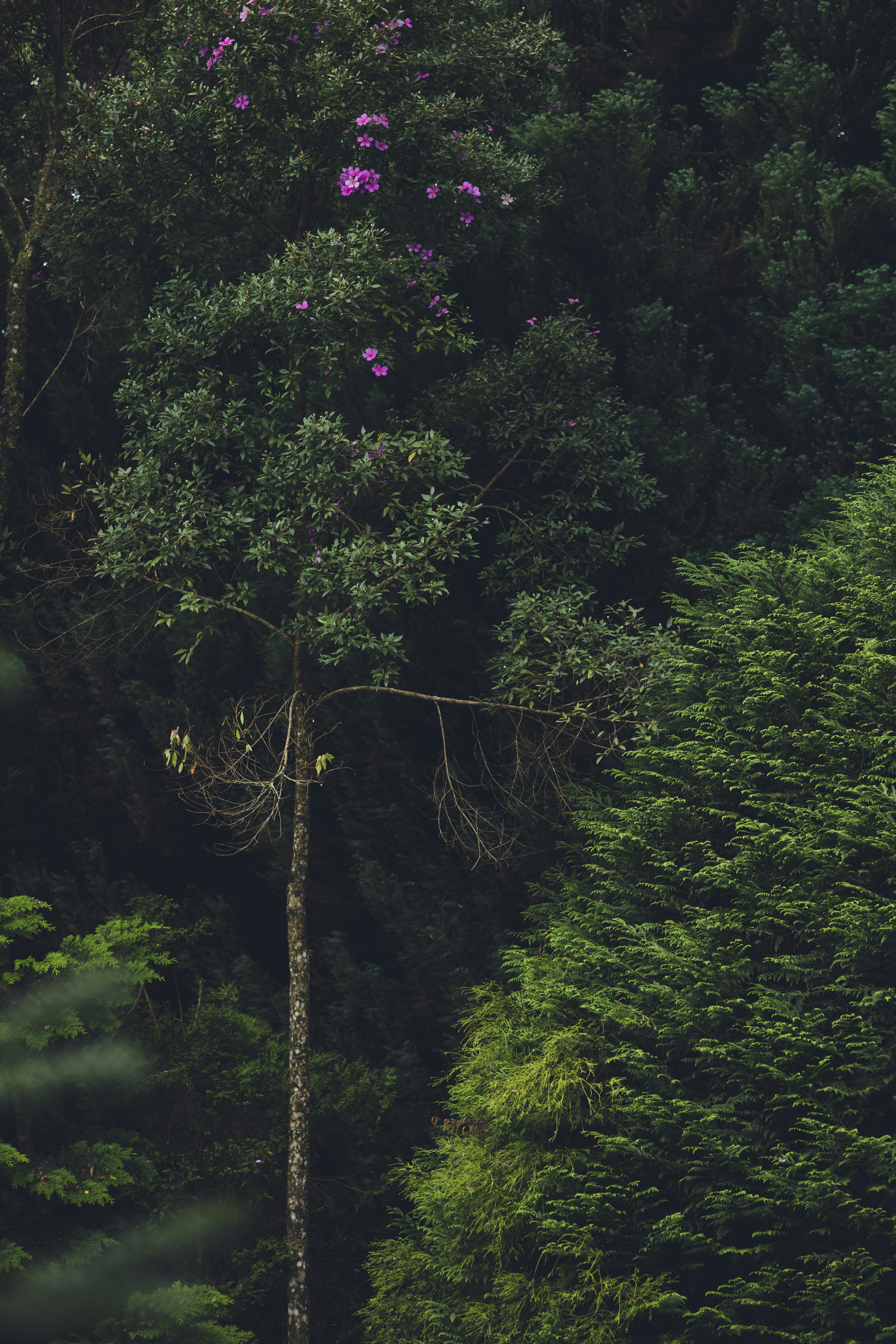 Photo by rrodriguesim