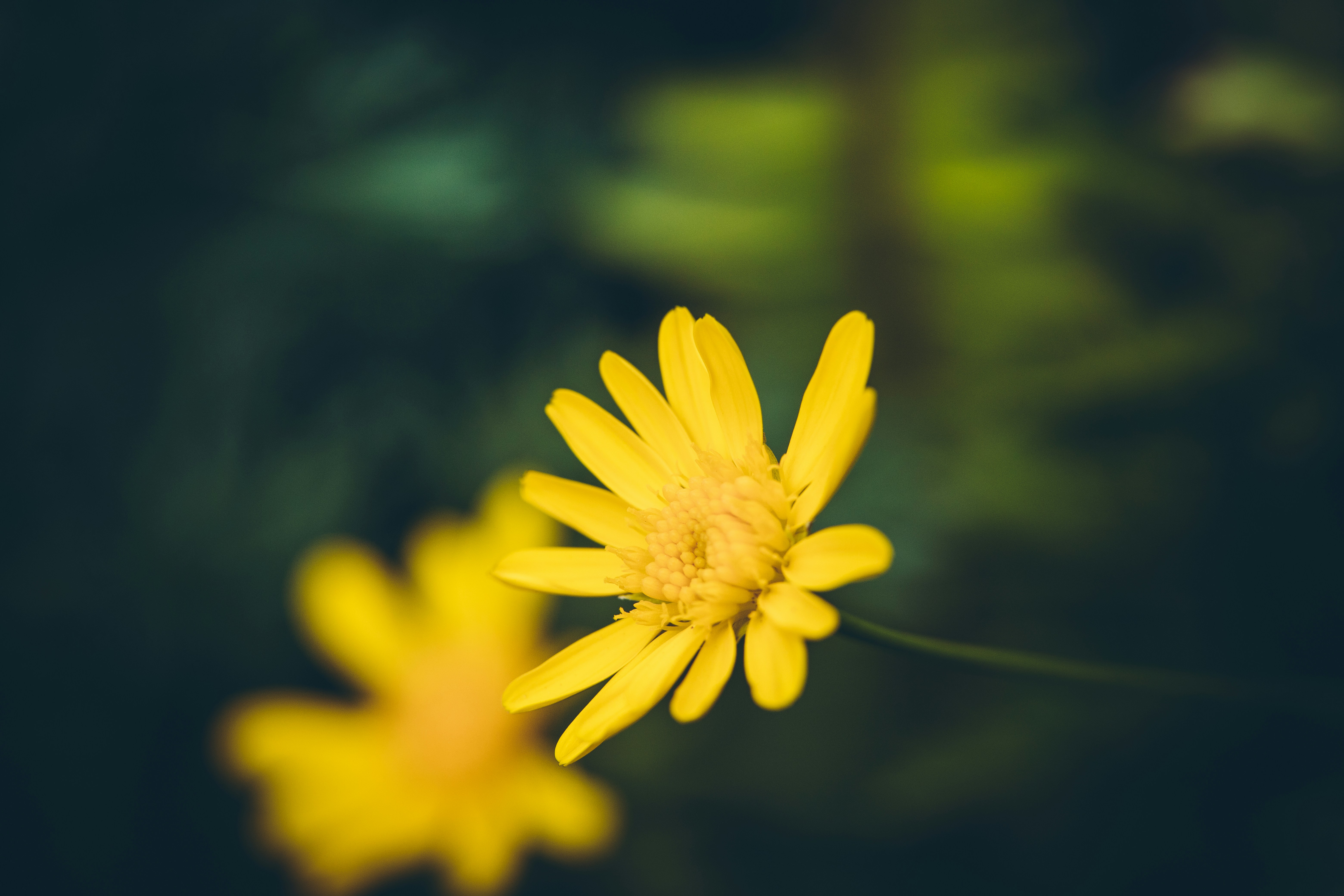 Photo by rrodriguesim