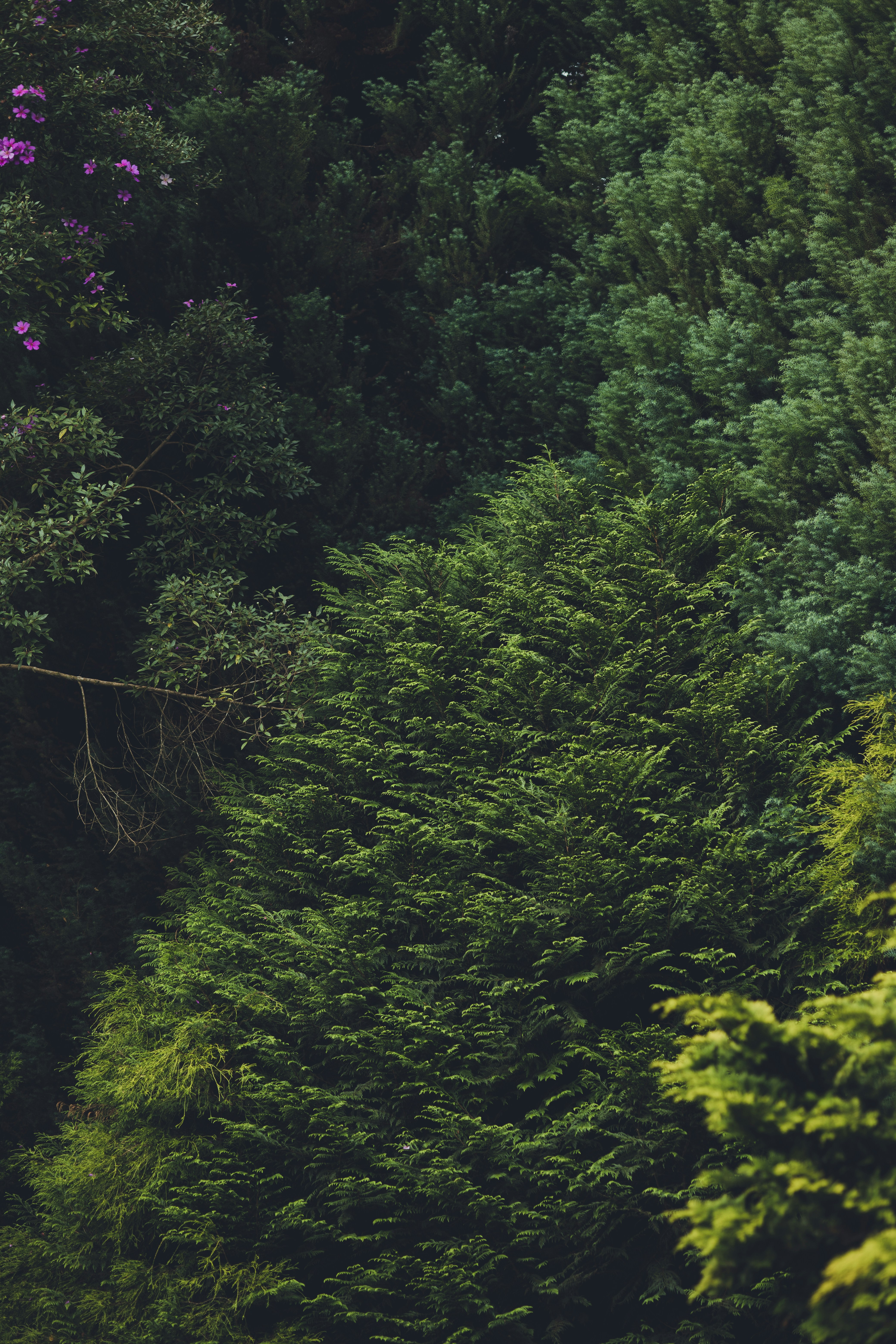 Photo by rrodriguesim