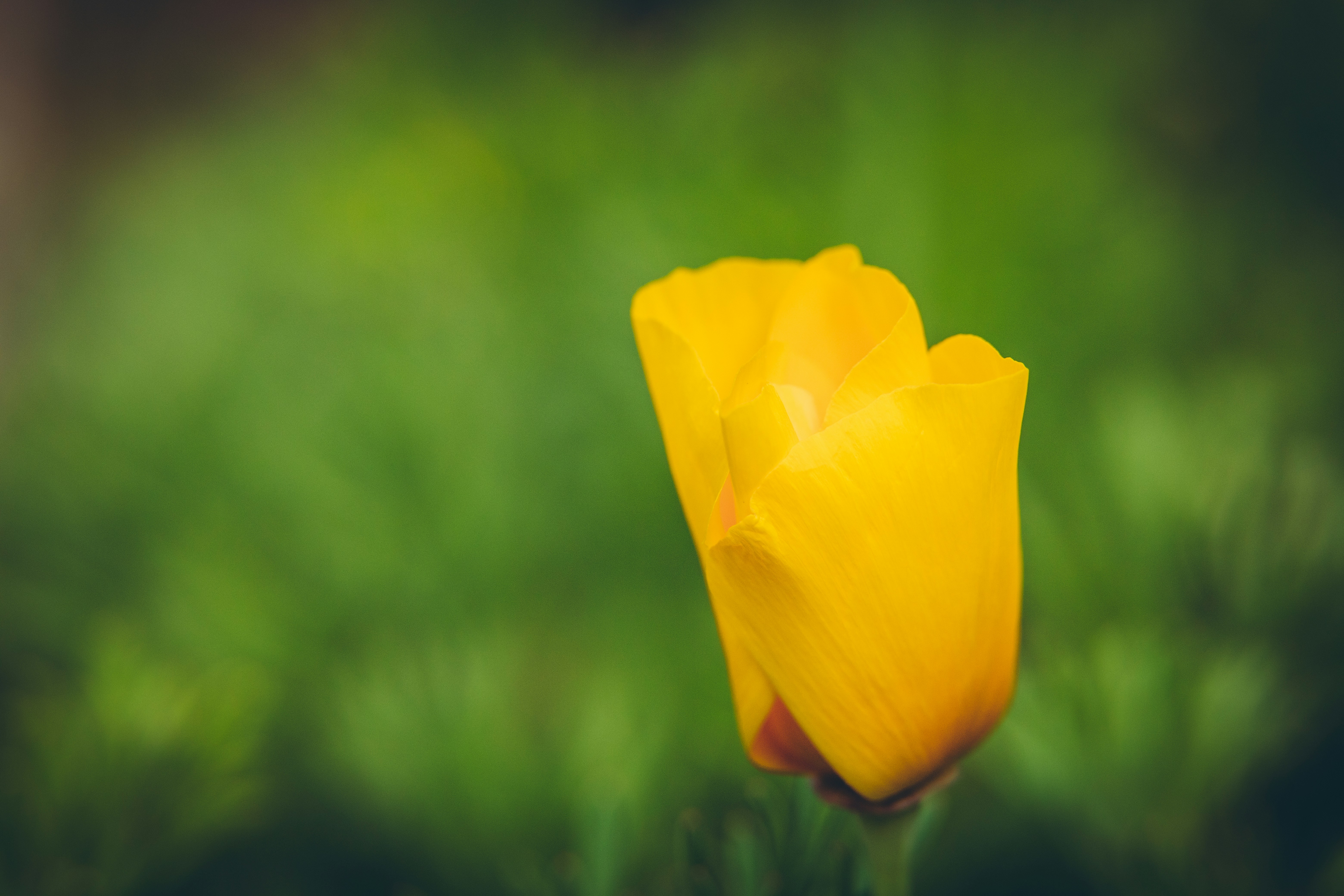 Photo by rrodriguesim