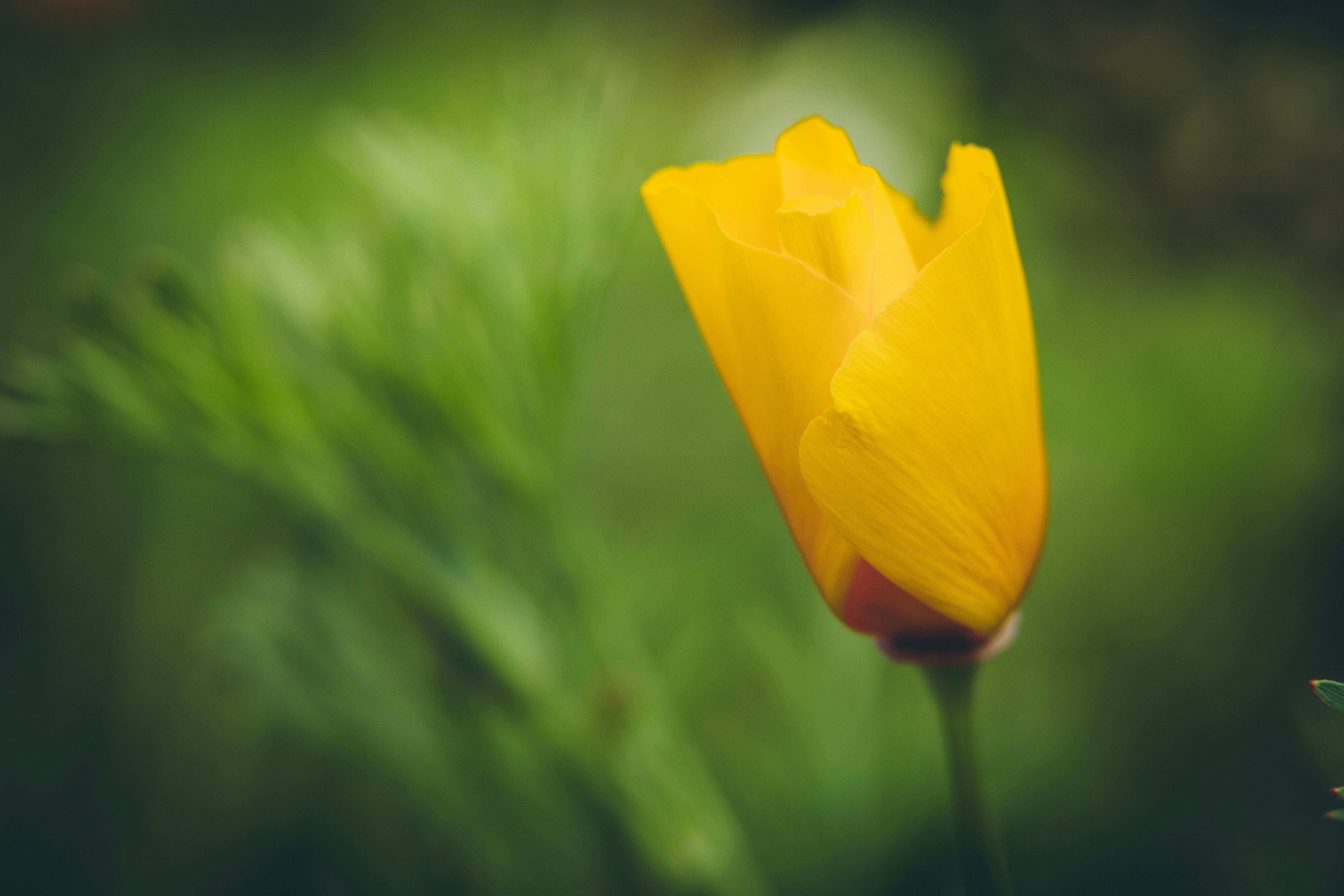 Photo by rrodriguesim