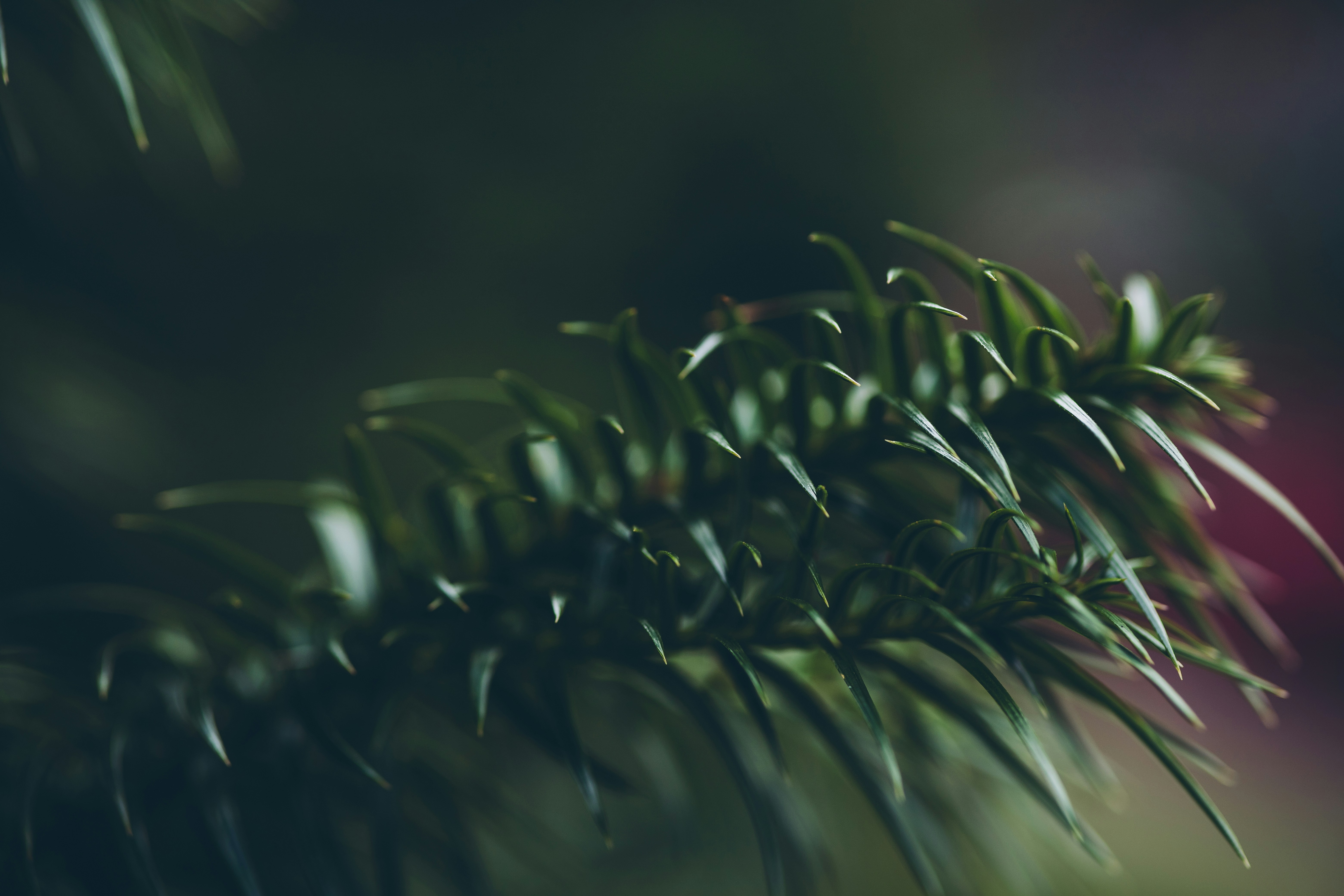 Photo by rrodriguesim