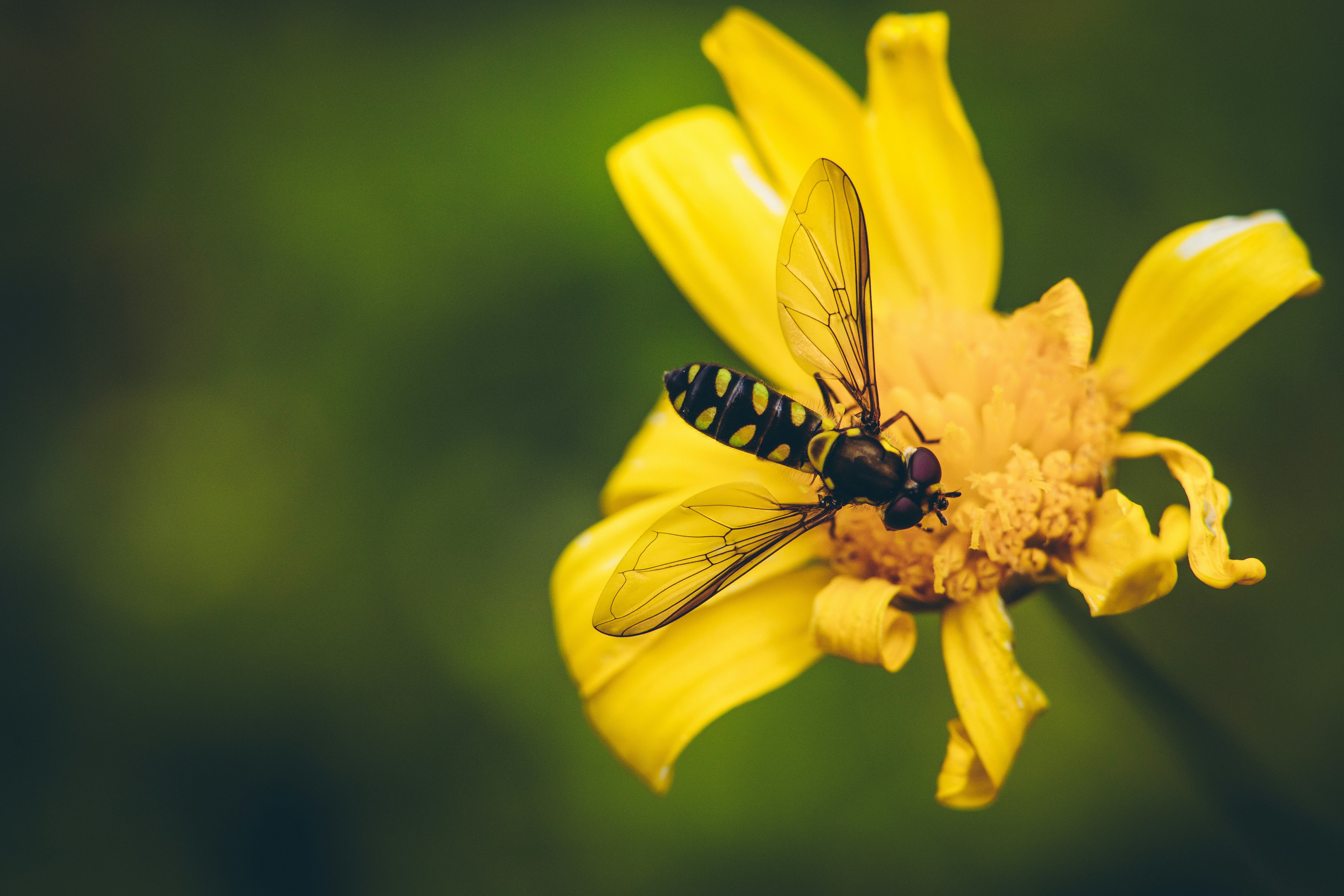 Photo by rrodriguesim