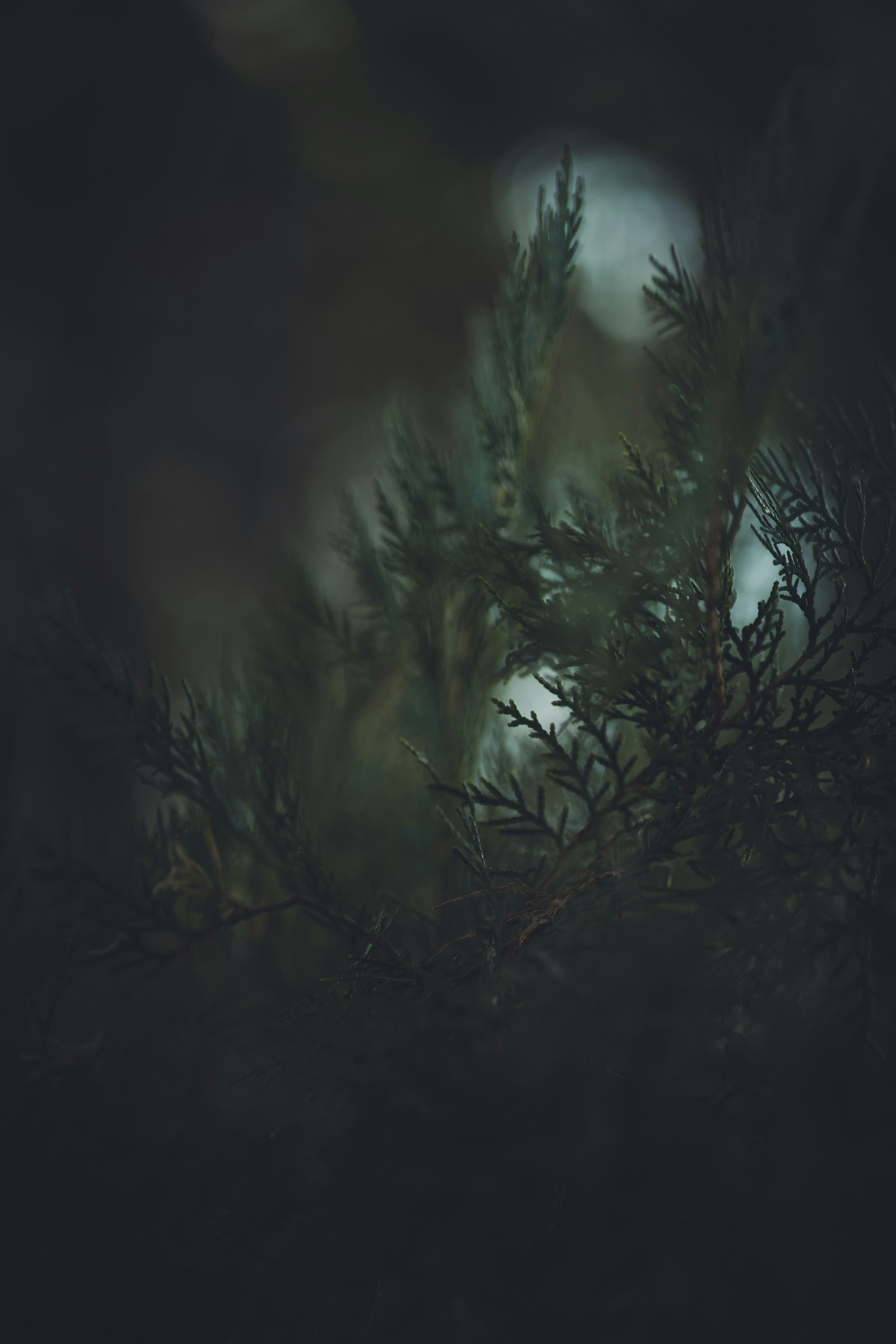 Photo by rrodriguesim