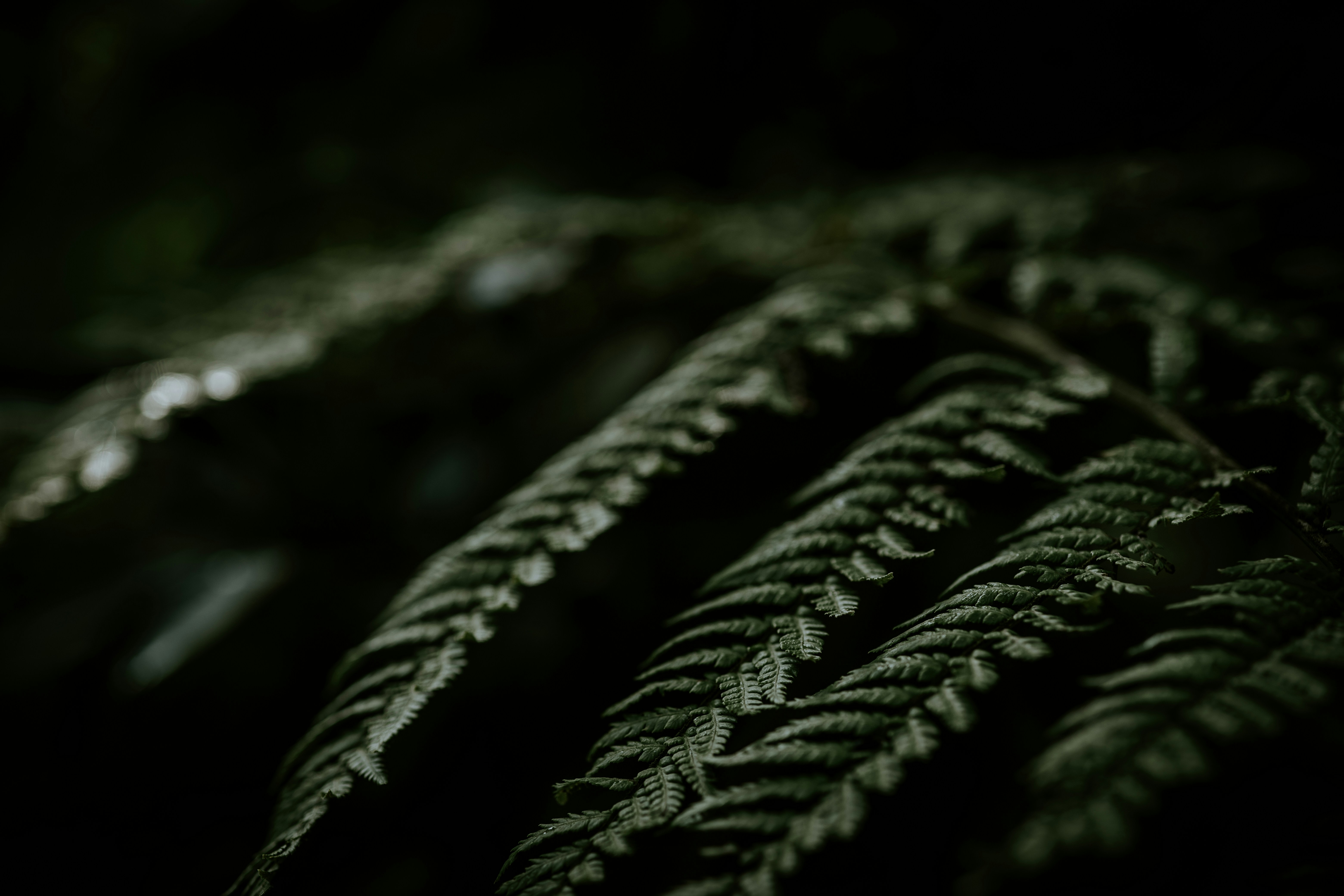 Photo by rrodriguesim