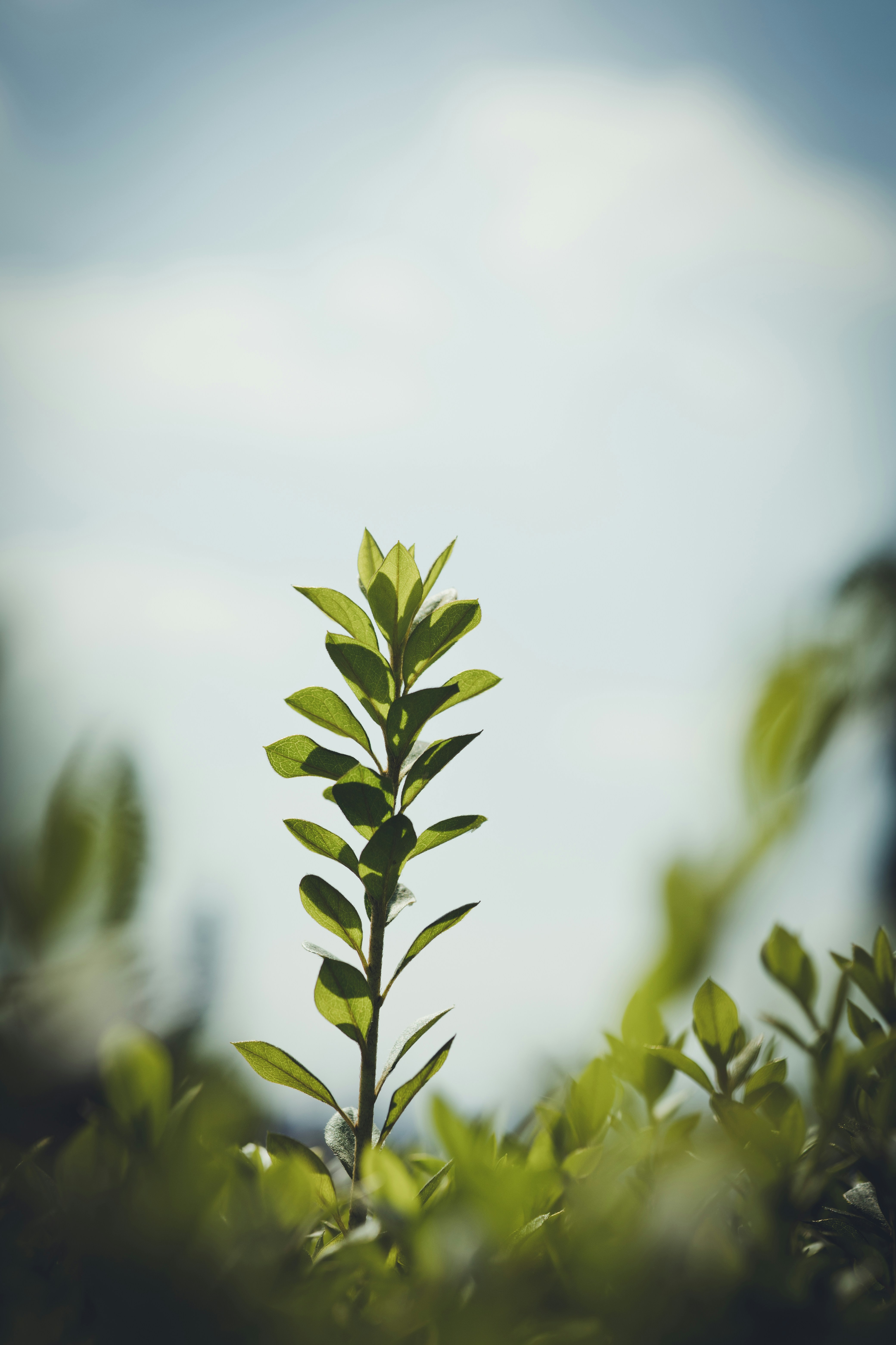 Photo by rrodriguesim