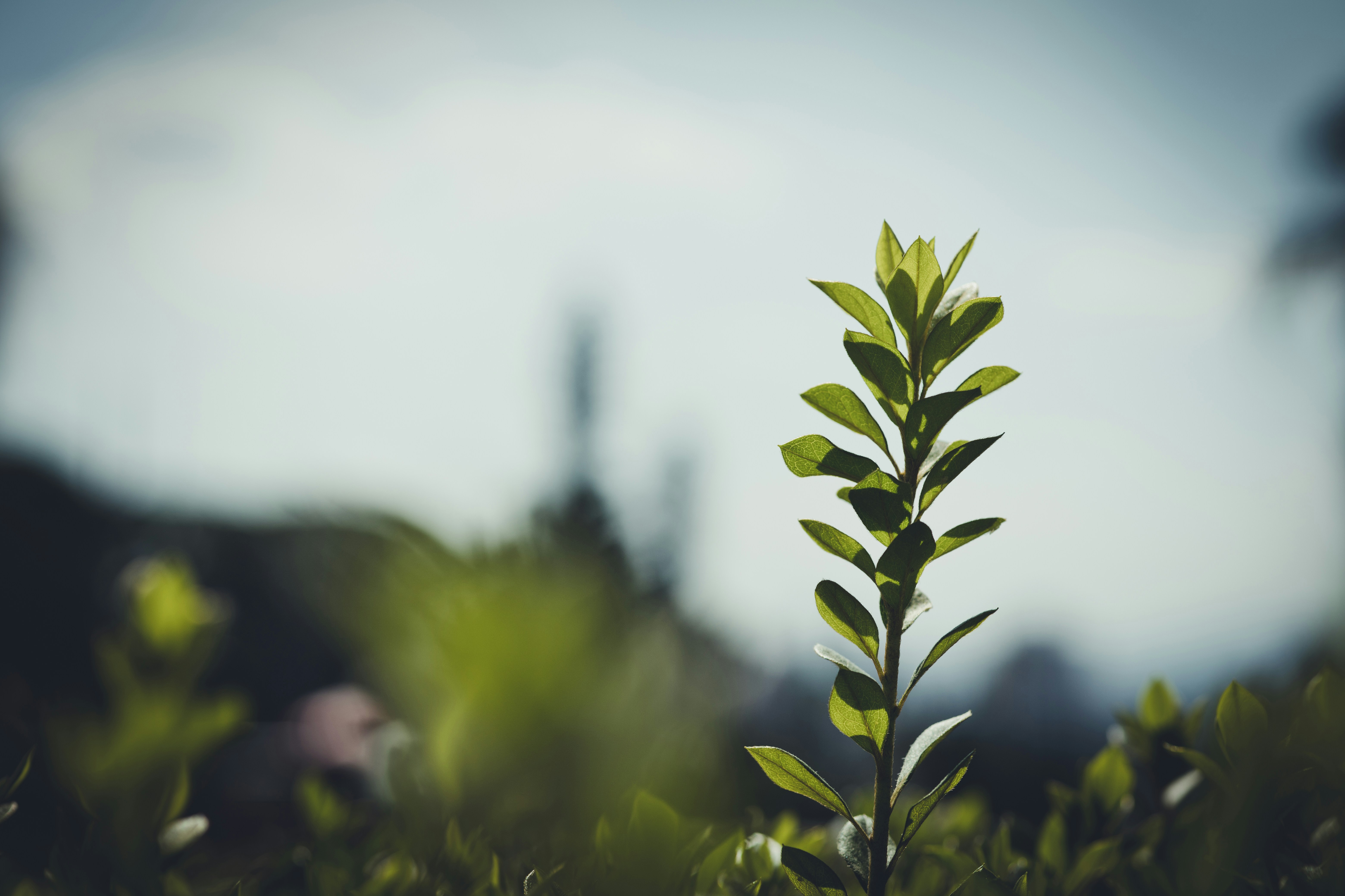 Photo by rrodriguesim