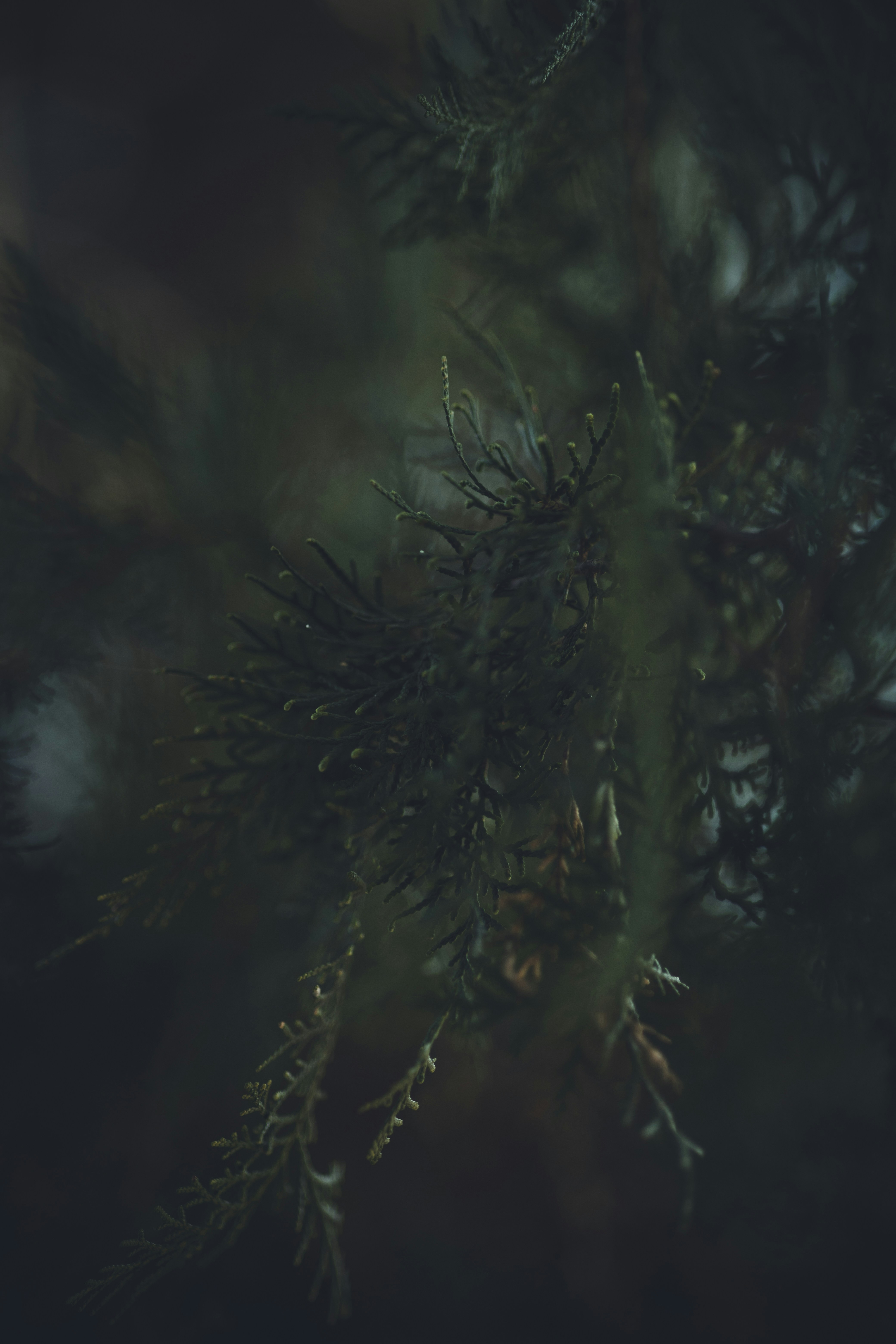 Photo by rrodriguesim