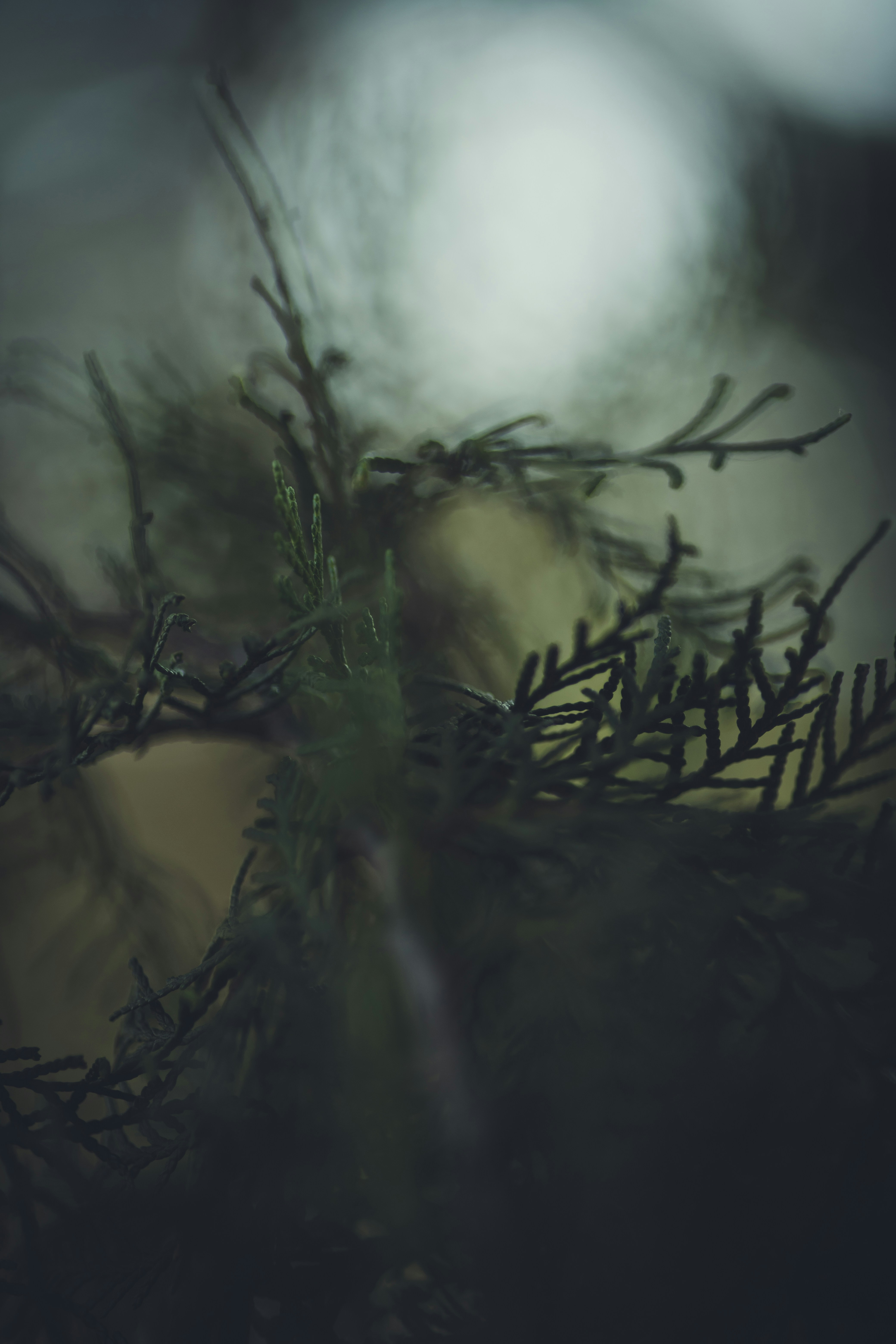 Photo by rrodriguesim