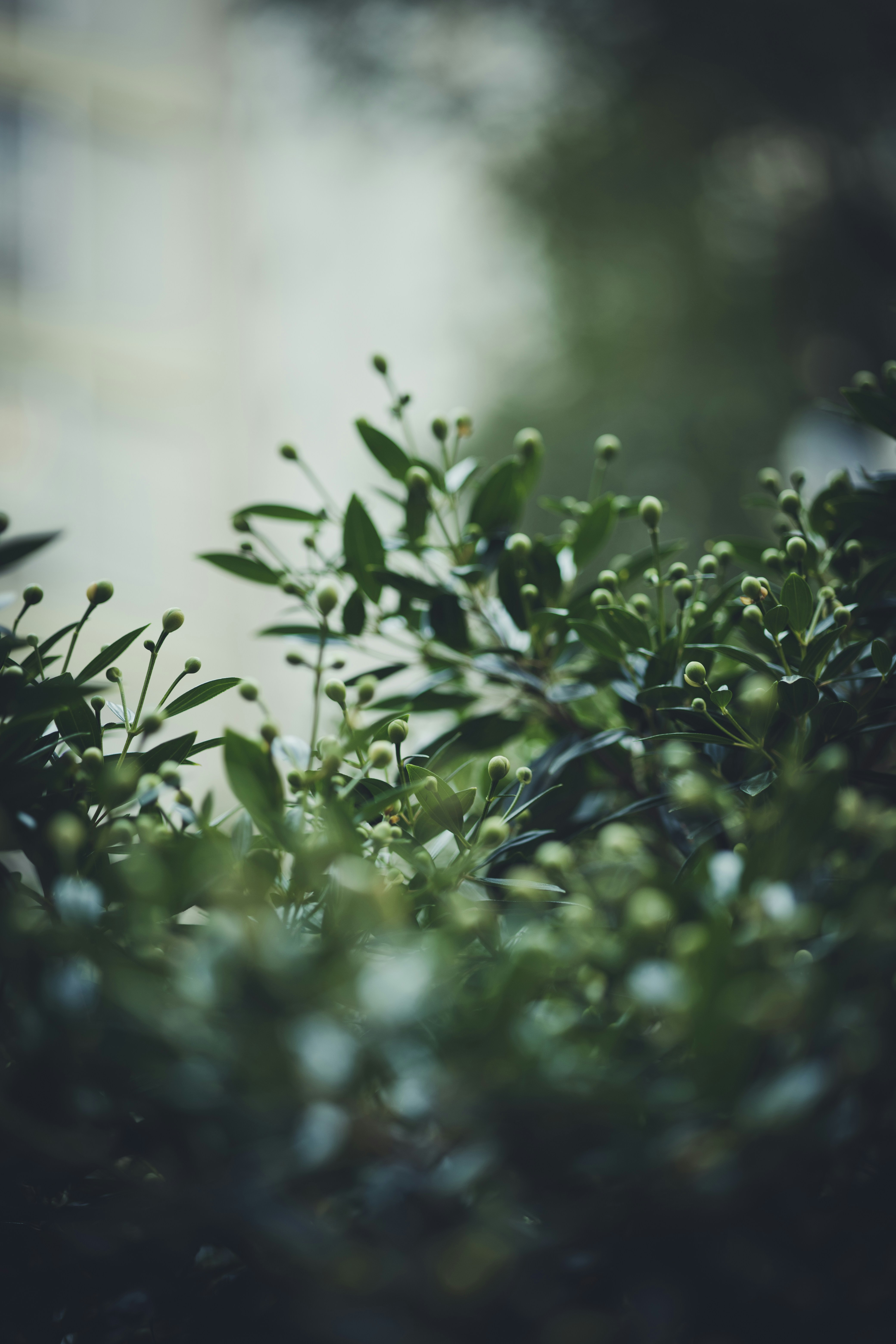 Photo by rrodriguesim