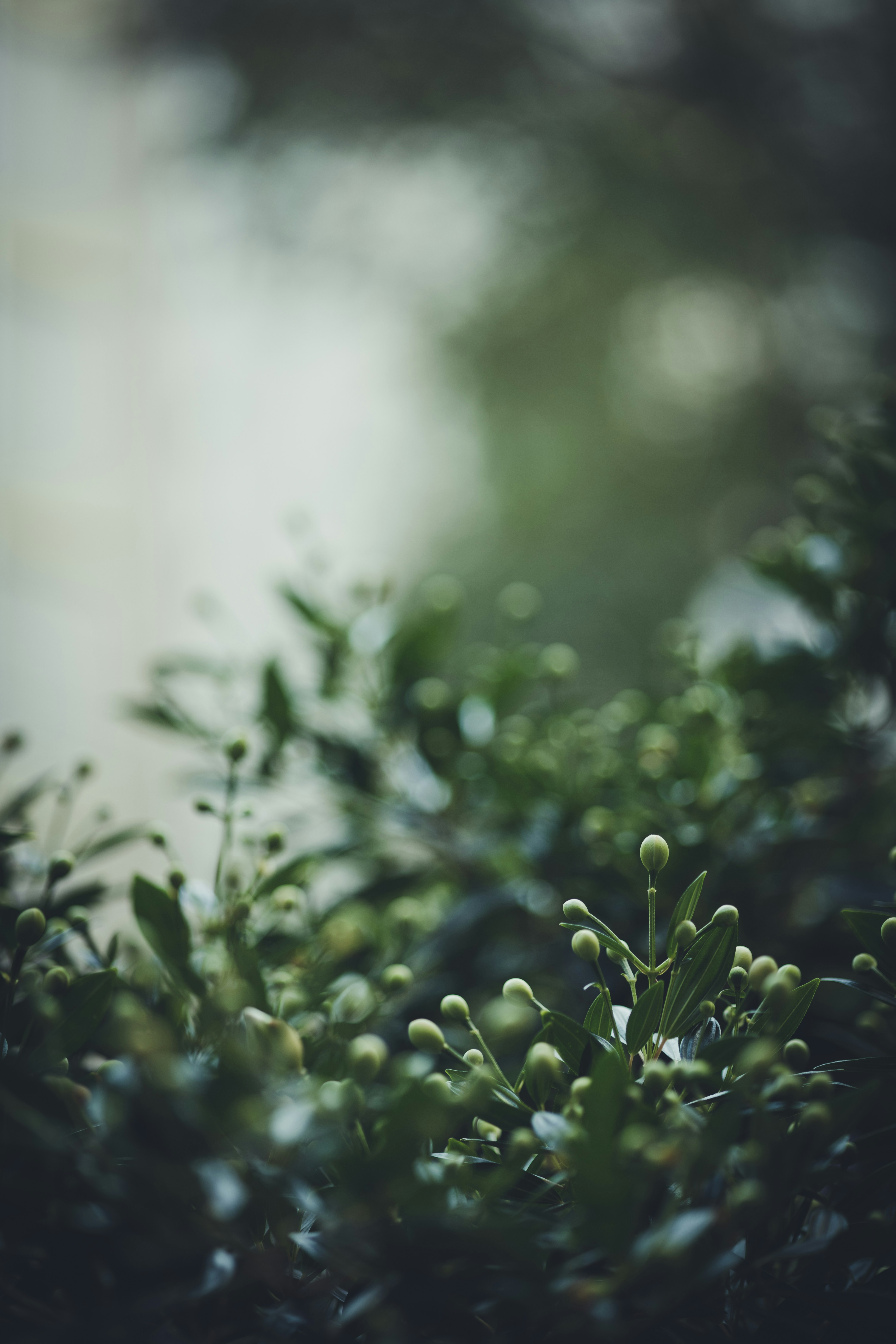 Photo by rrodriguesim