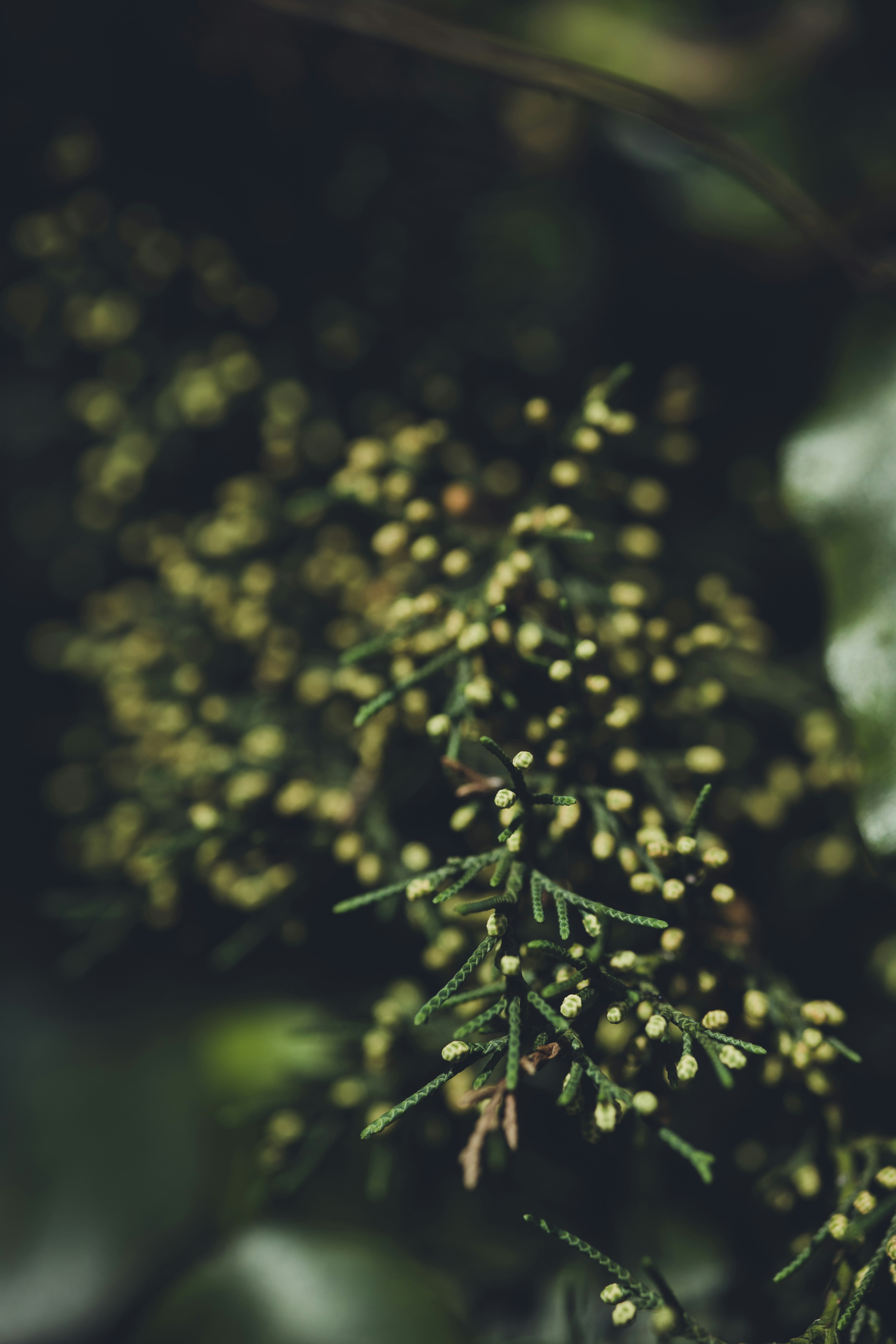 Photo by rrodriguesim