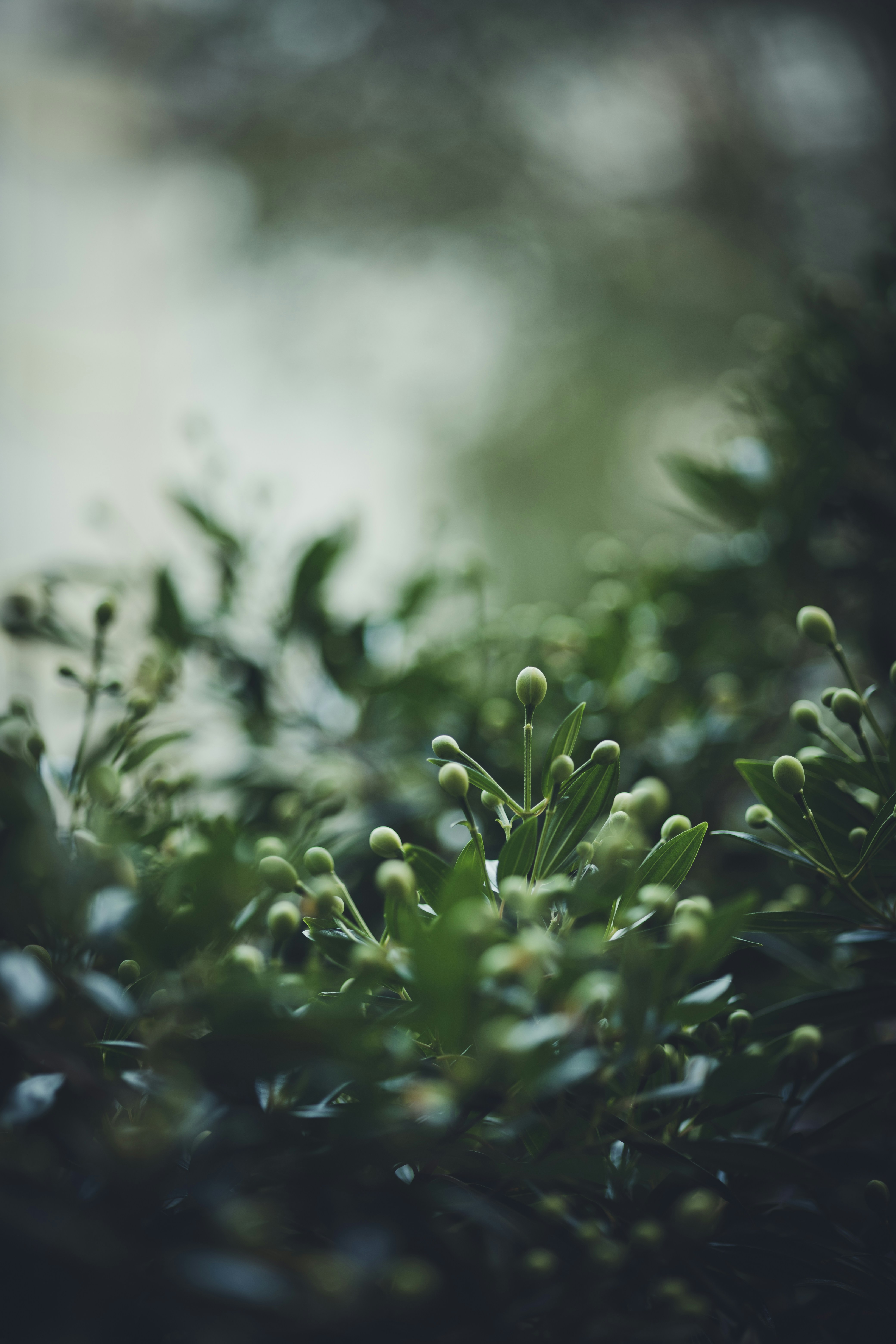 Photo by rrodriguesim