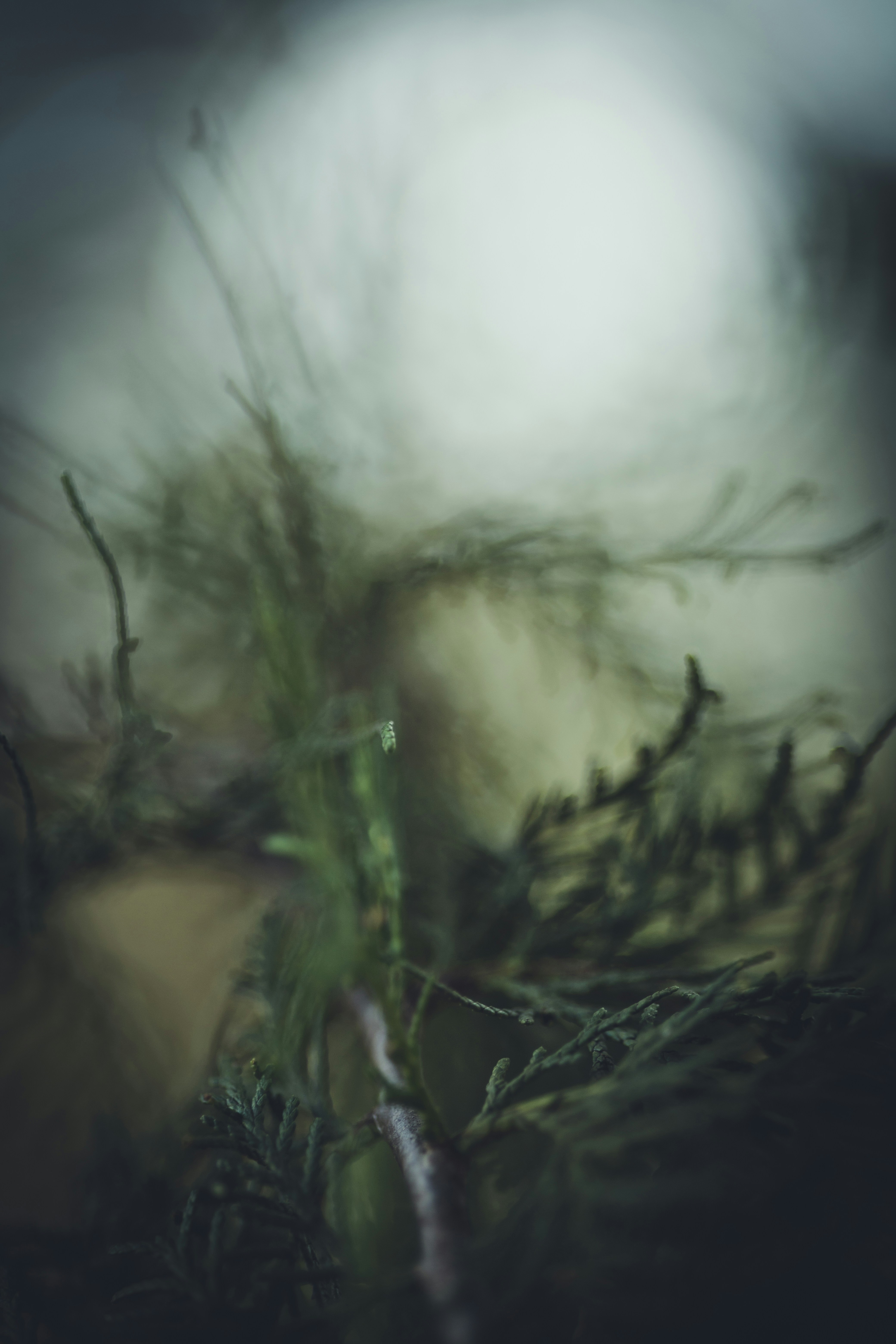 Photo by rrodriguesim