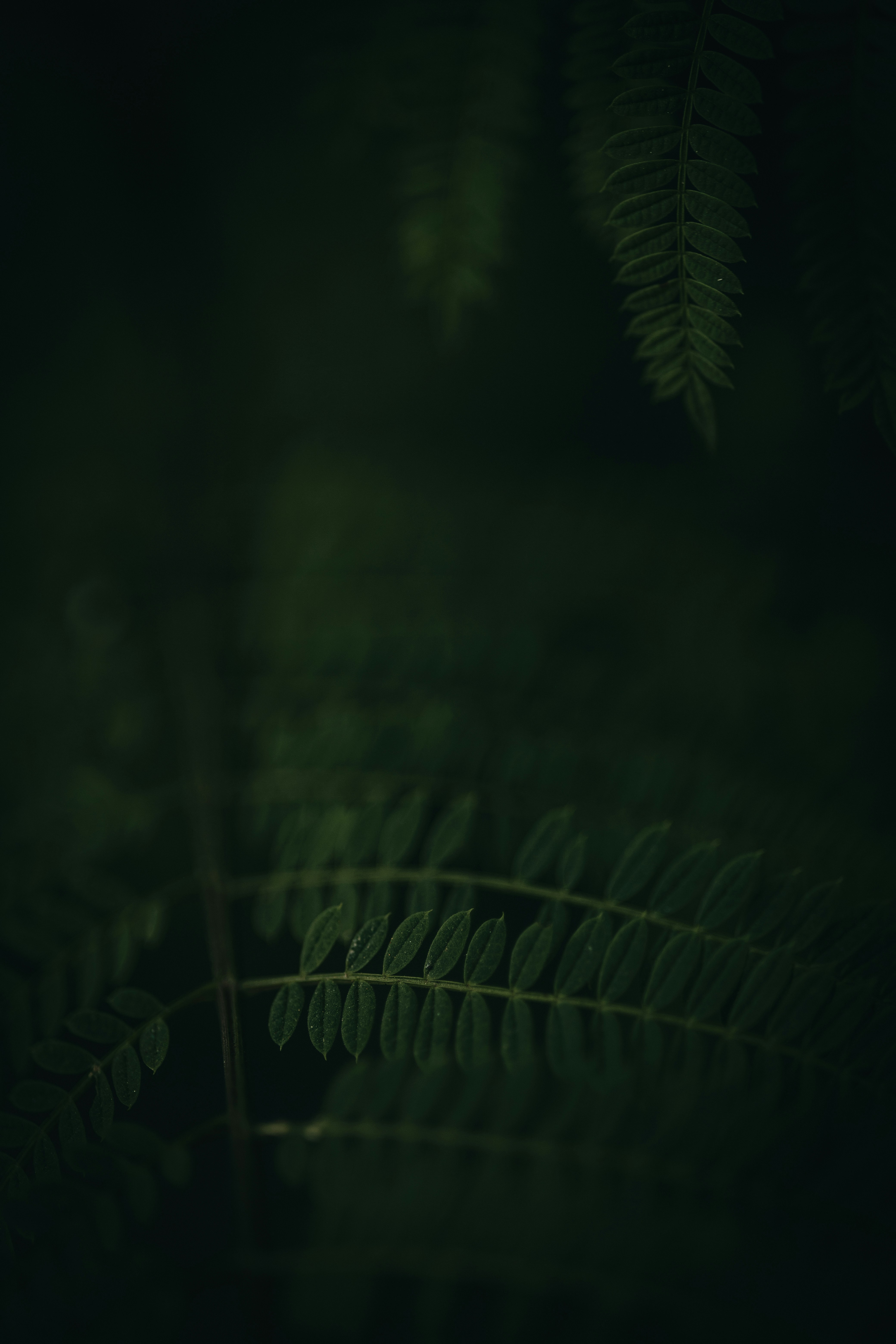 Photo by rrodriguesim