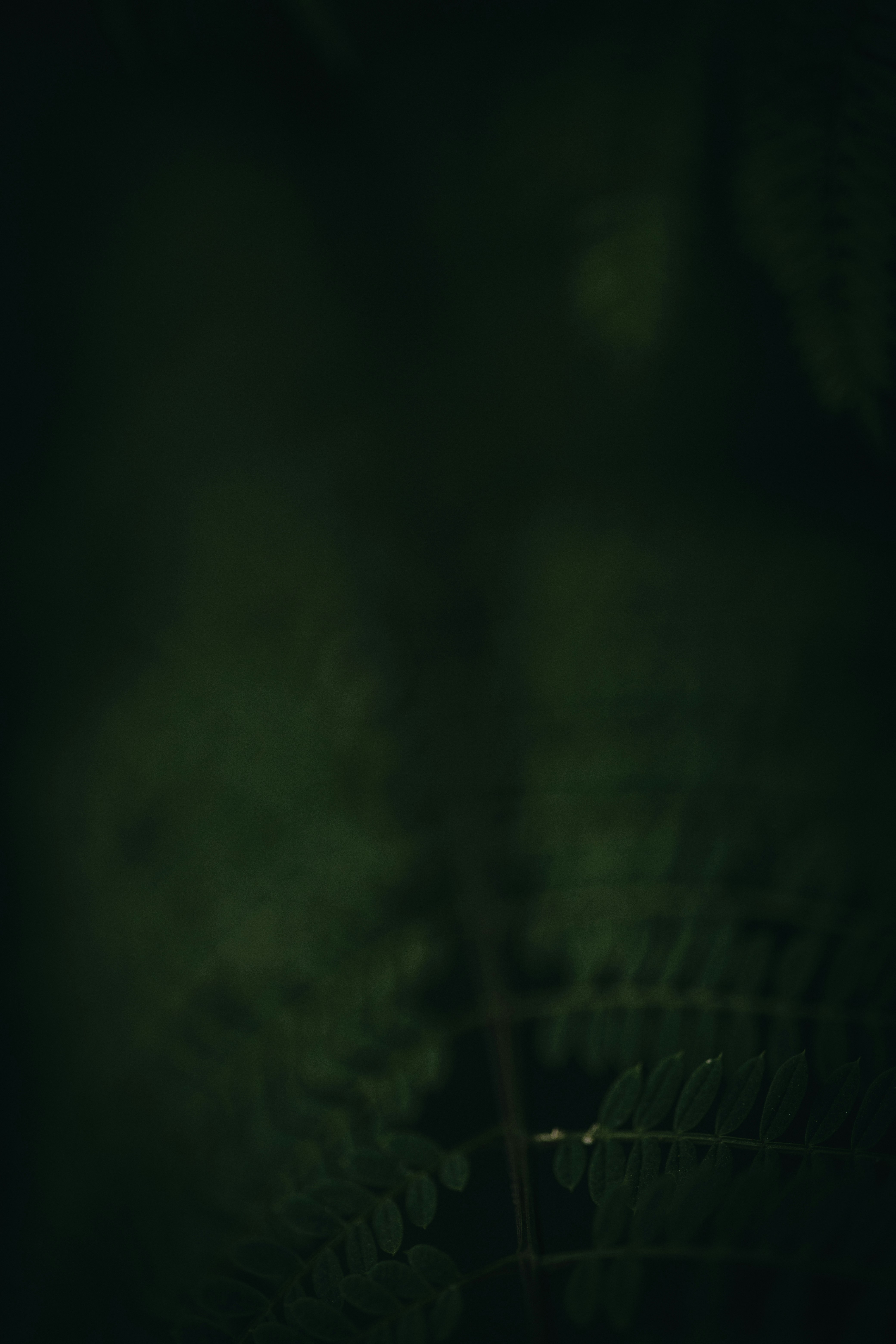 photo-1684150859456-eeb897e5c177?ixid=M3wxMjA3fDB8MXxzZWFyY2h8OHx8cG9rZXJ0dWJlfGVufDB8fHx8MTc0ODQ2NjQ0MHww\u0026ixlib=rb-4.1.0