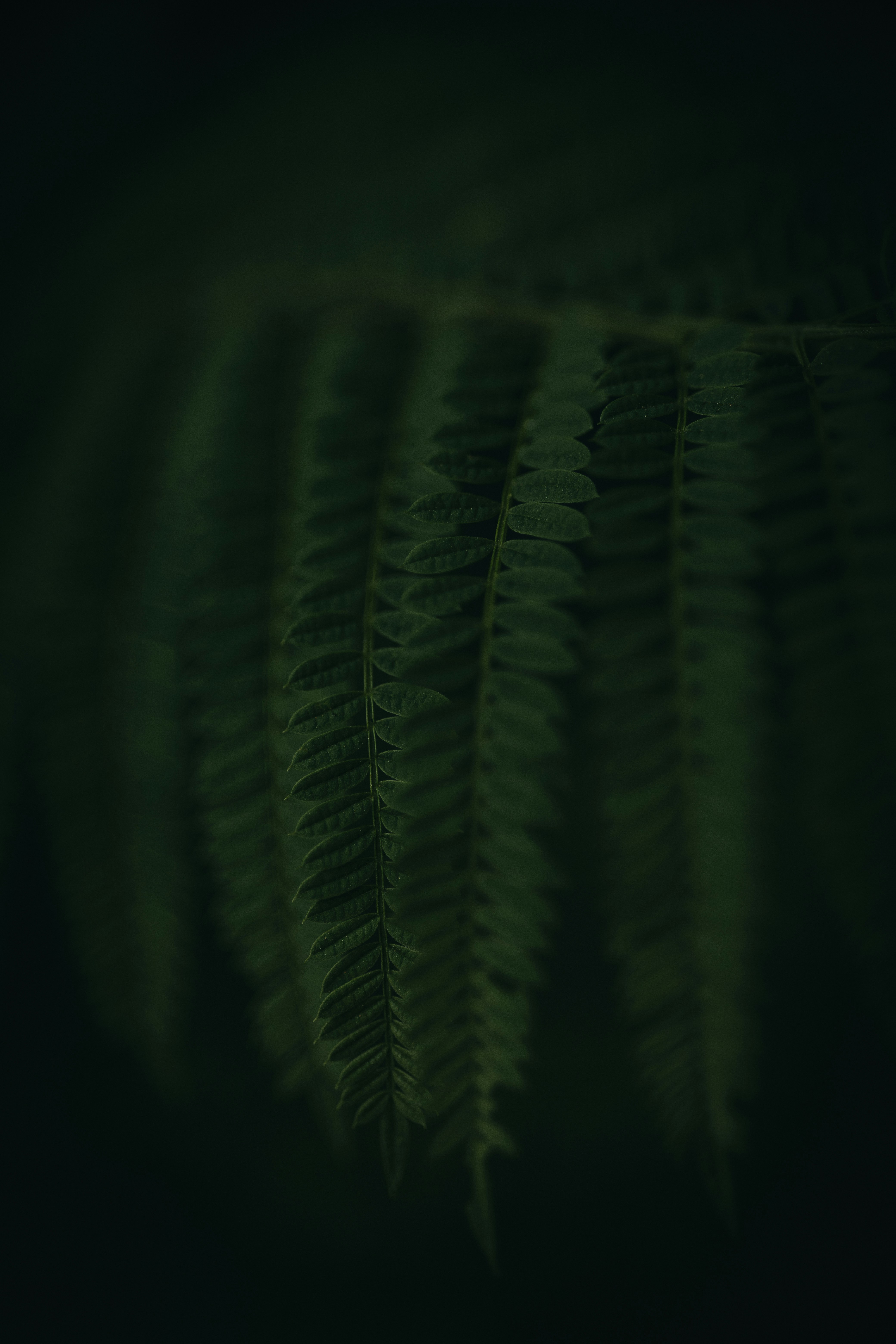 Photo by rrodriguesim