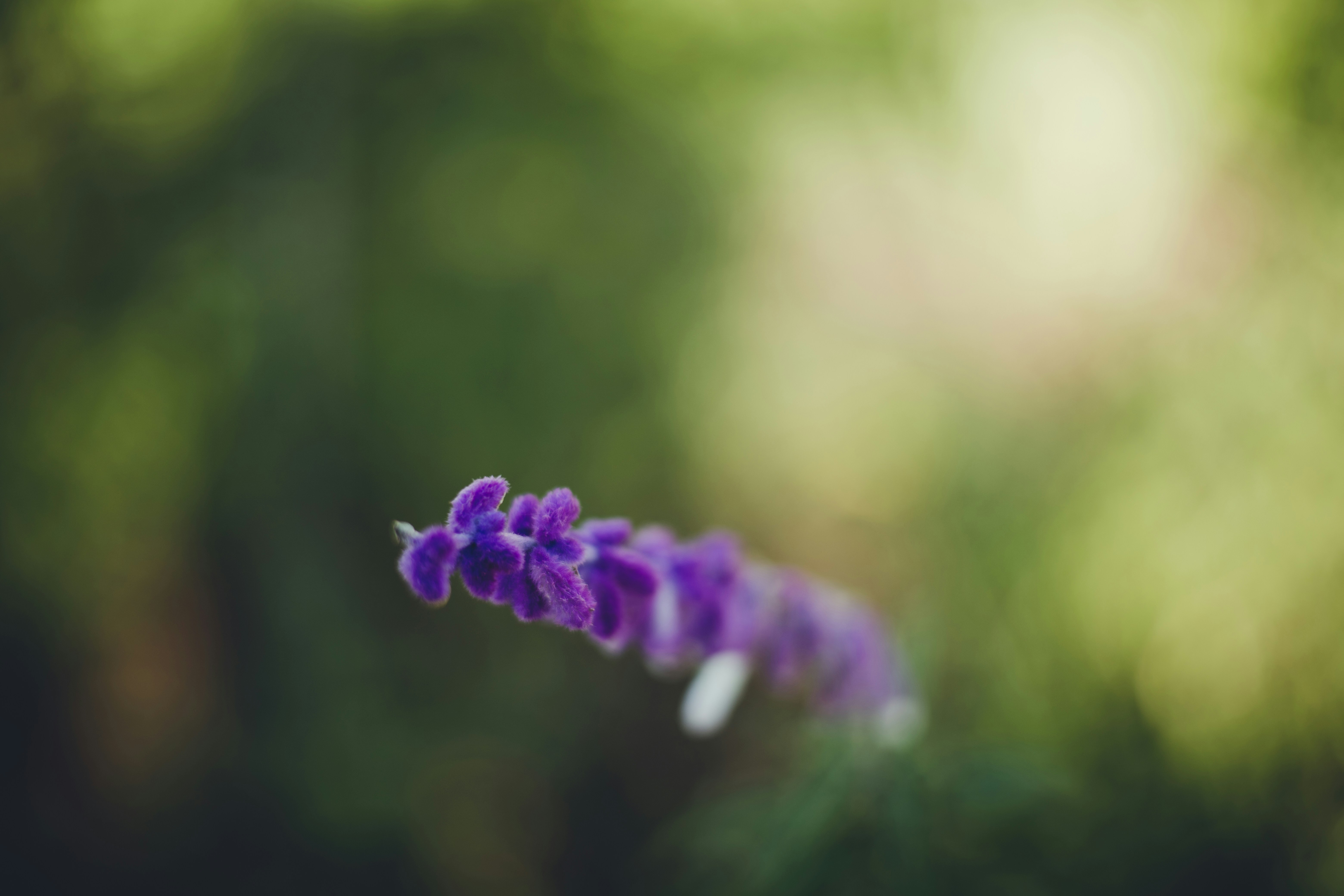 Photo by rrodriguesim