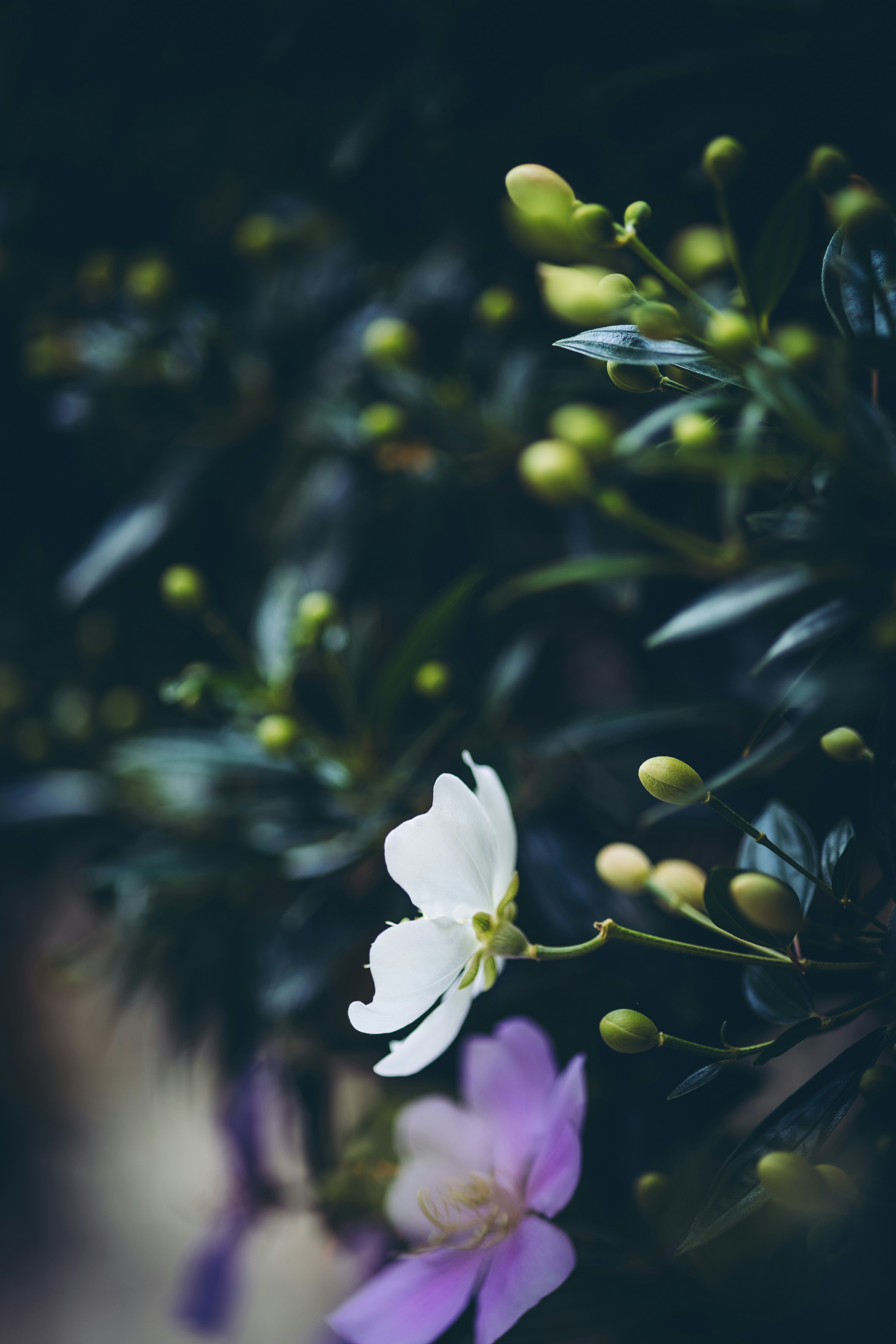 Photo by rrodriguesim