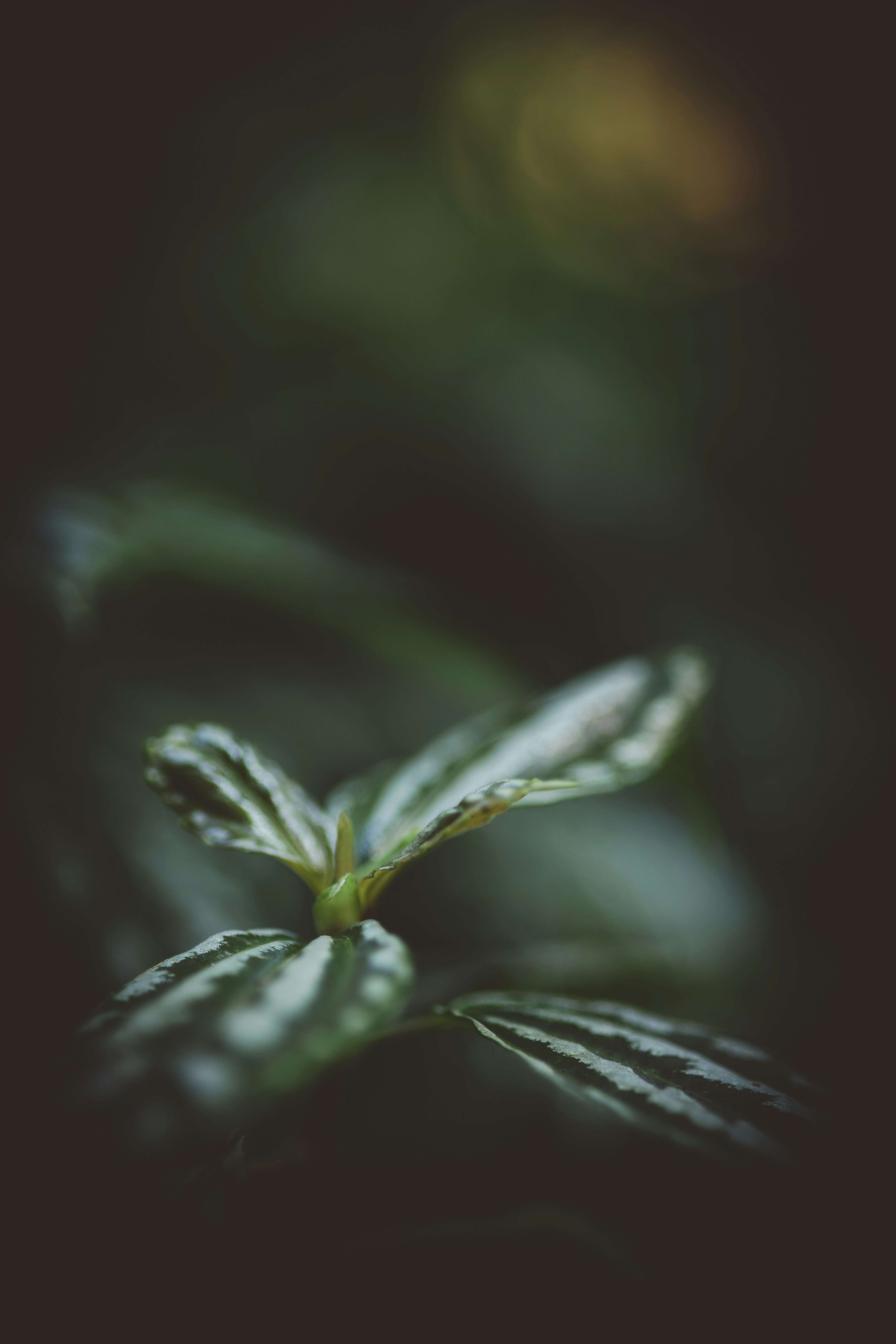 Photo by rrodriguesim