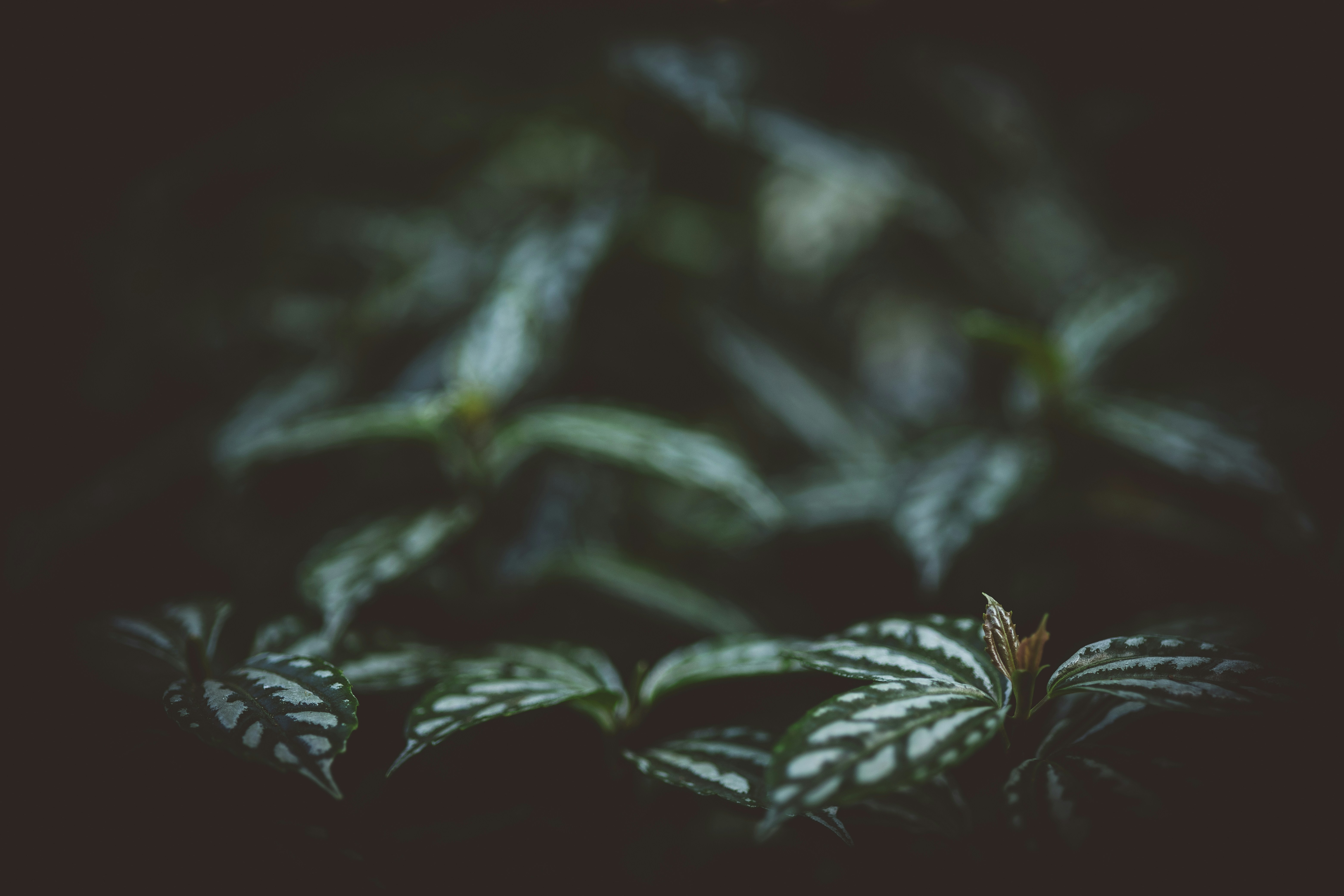 Photo by rrodriguesim