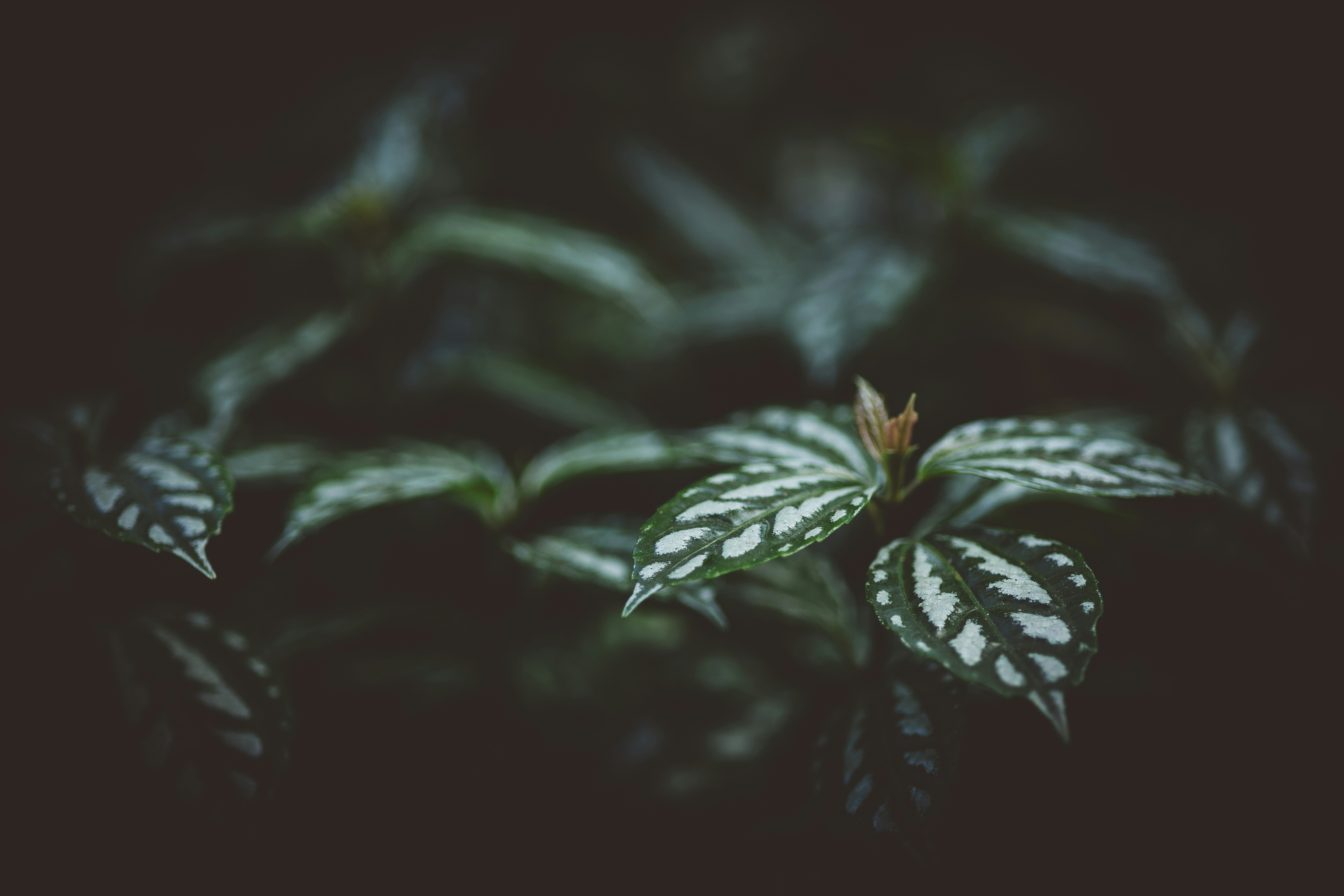 Photo by rrodriguesim