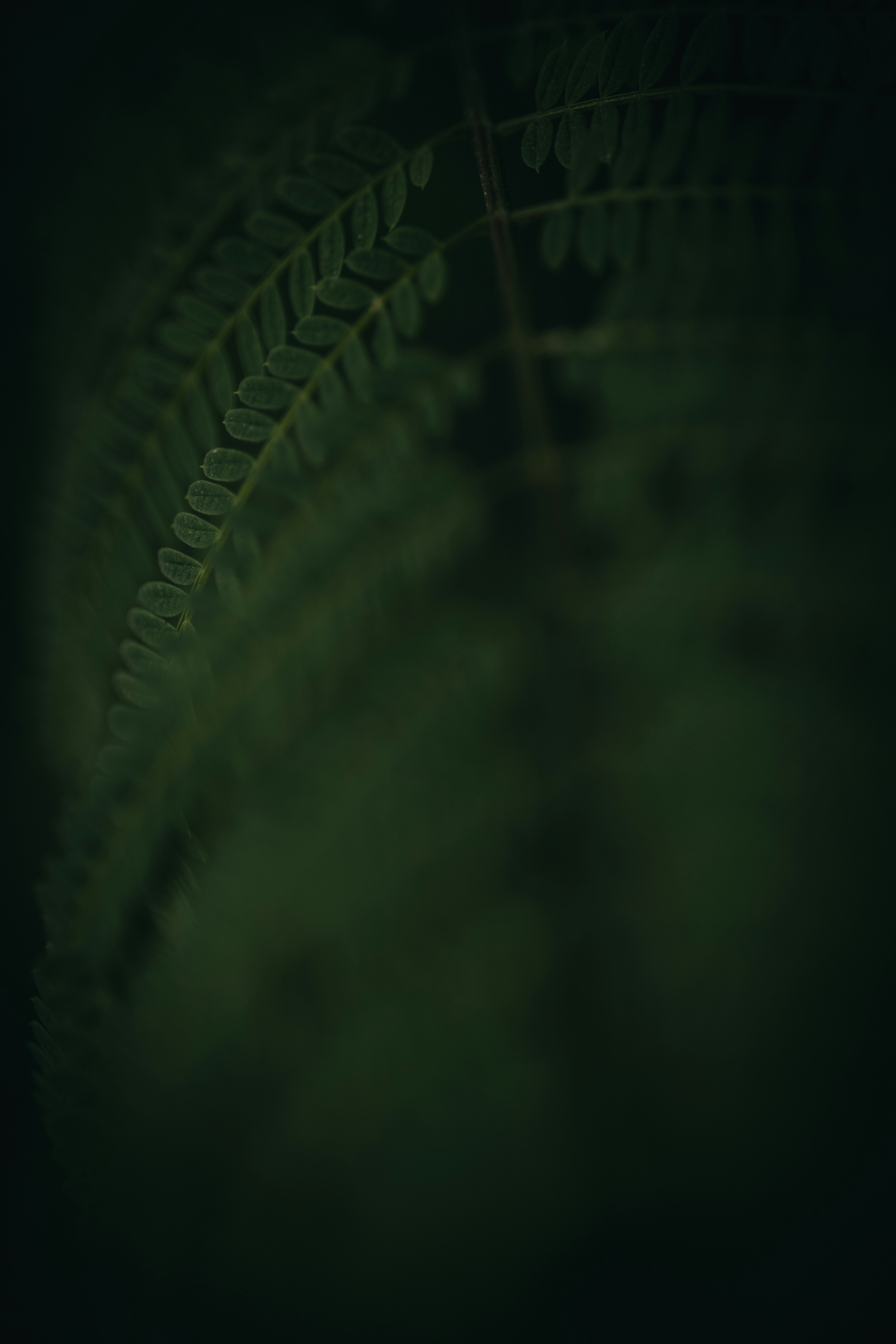 Photo by rrodriguesim