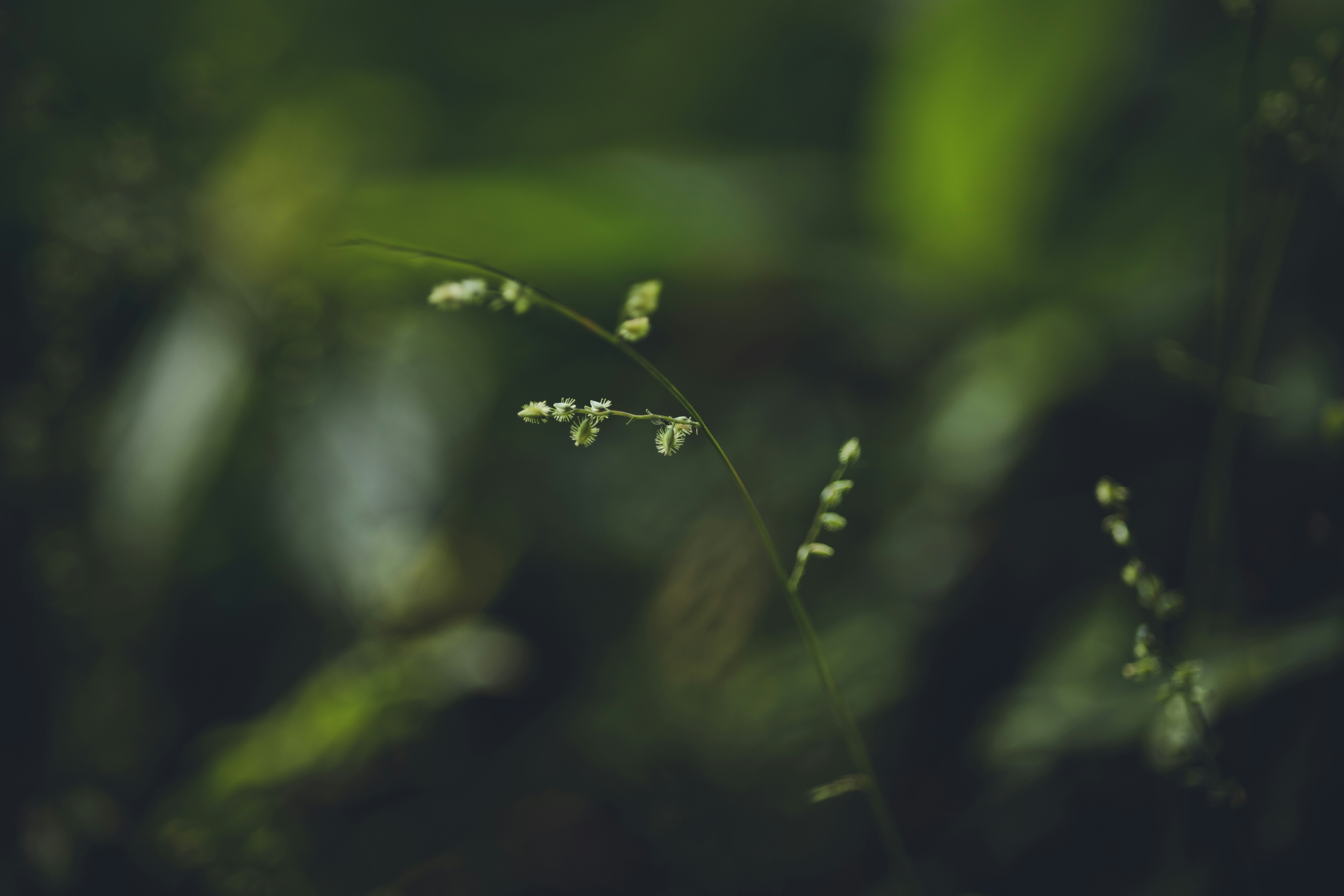 Photo by rrodriguesim