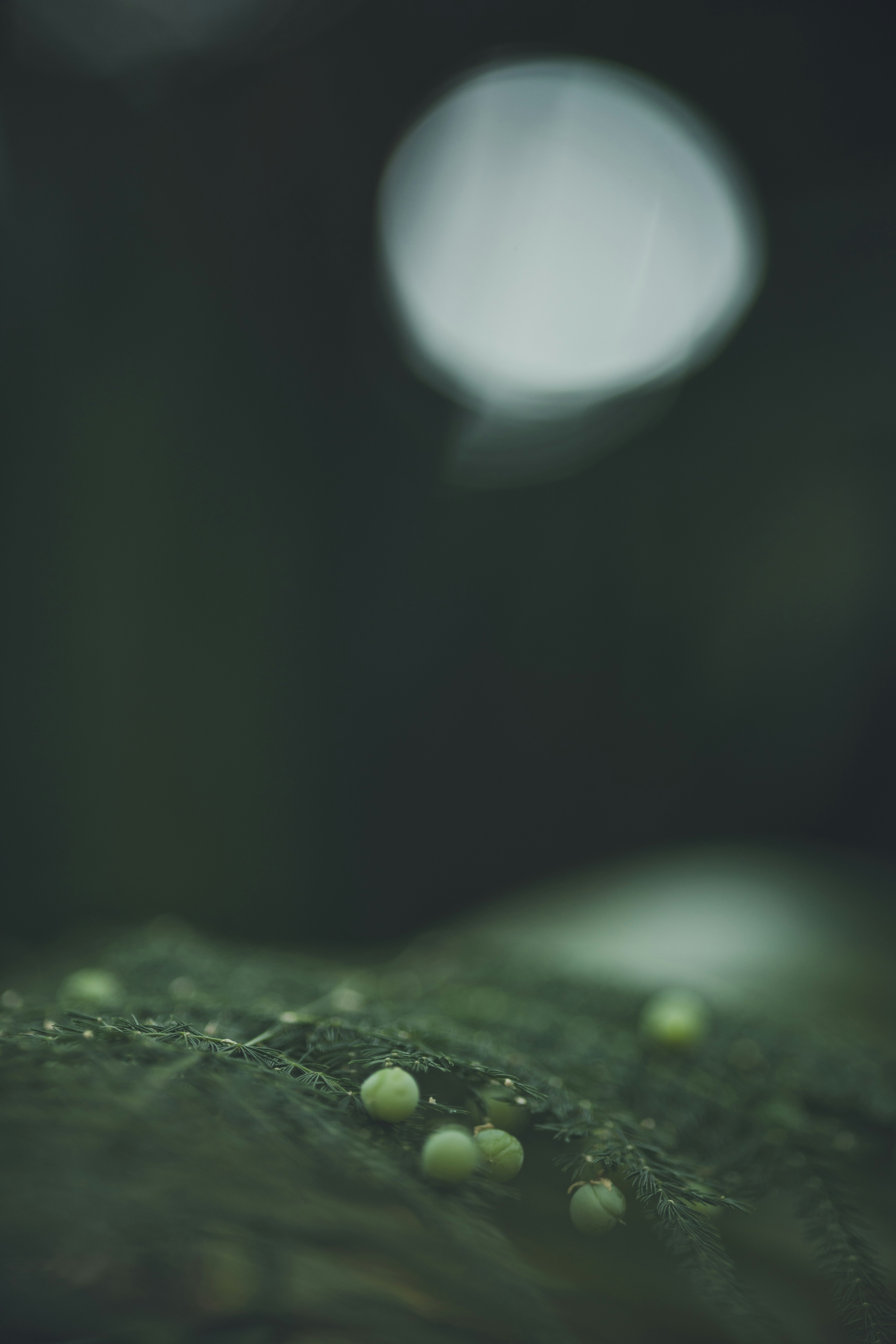 Photo by rrodriguesim