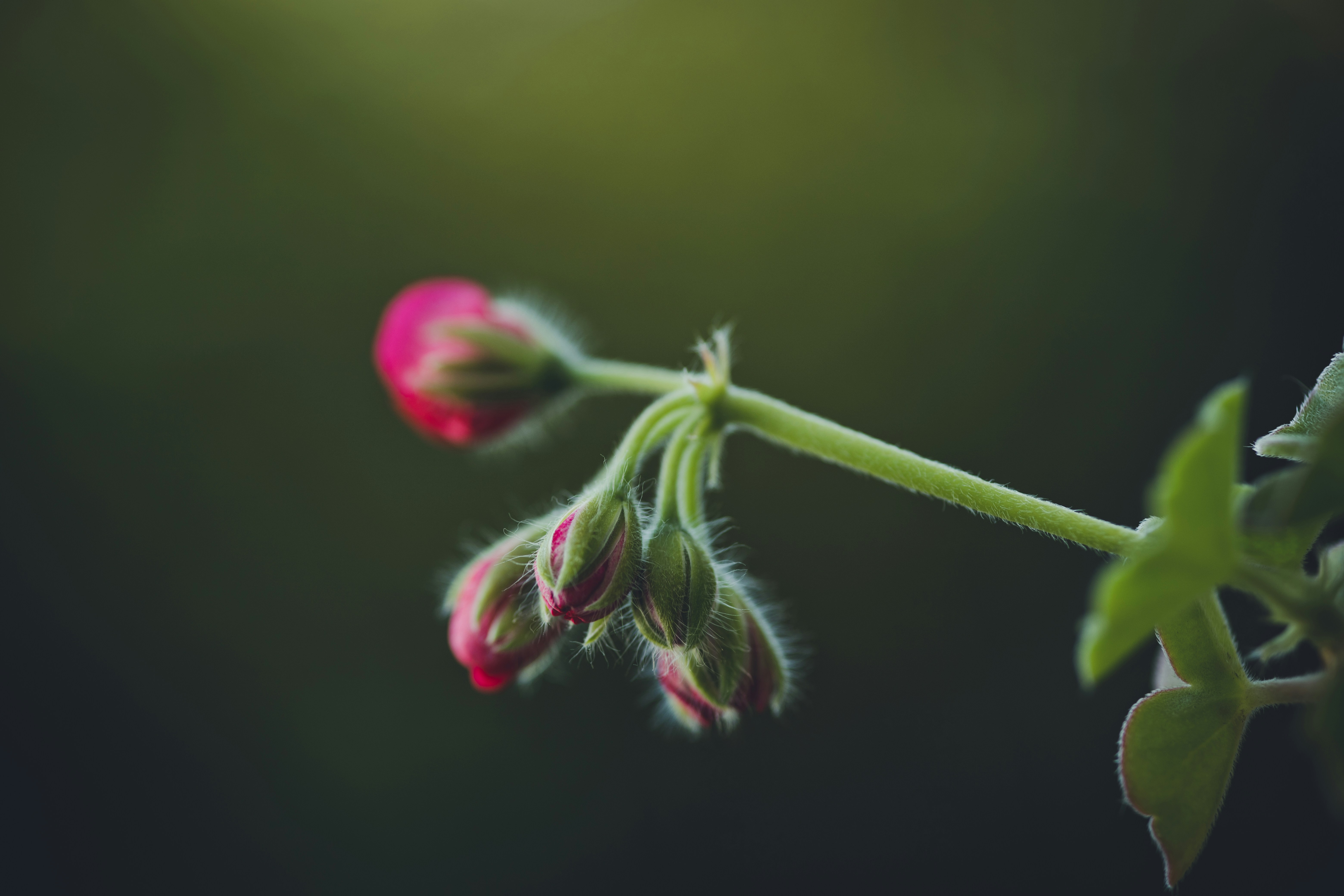 Photo by rrodriguesim