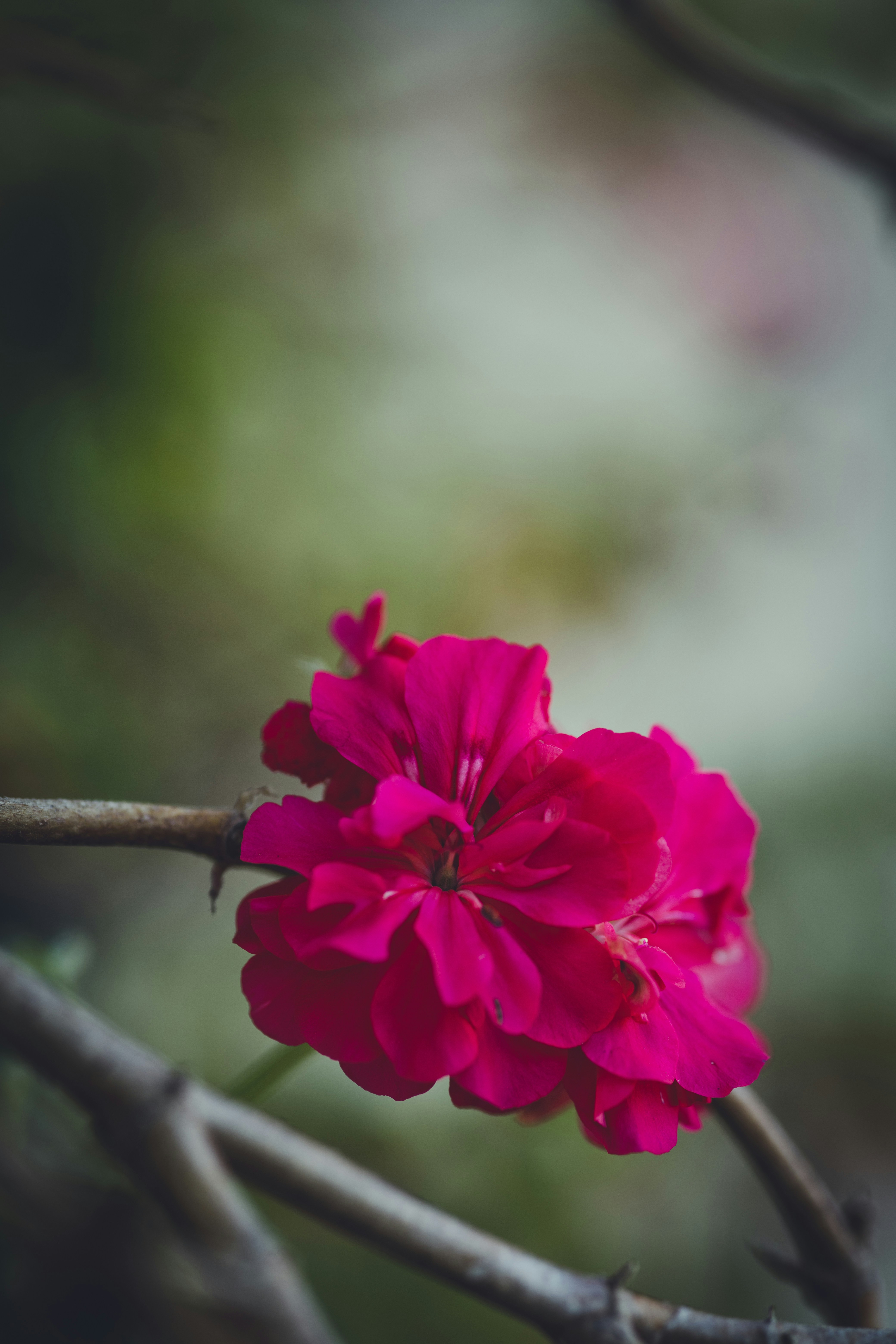 Photo by rrodriguesim