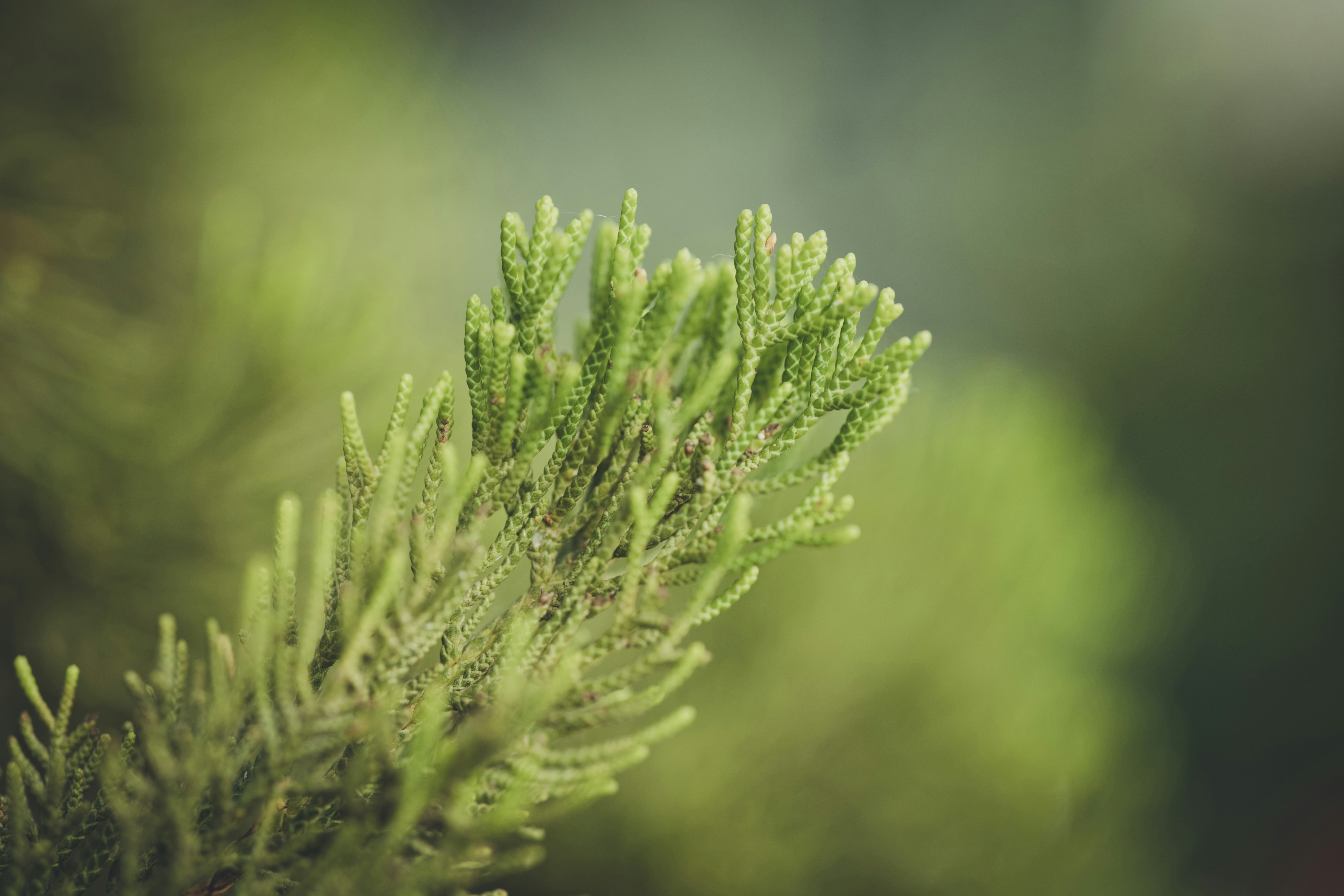 Photo by rrodriguesim