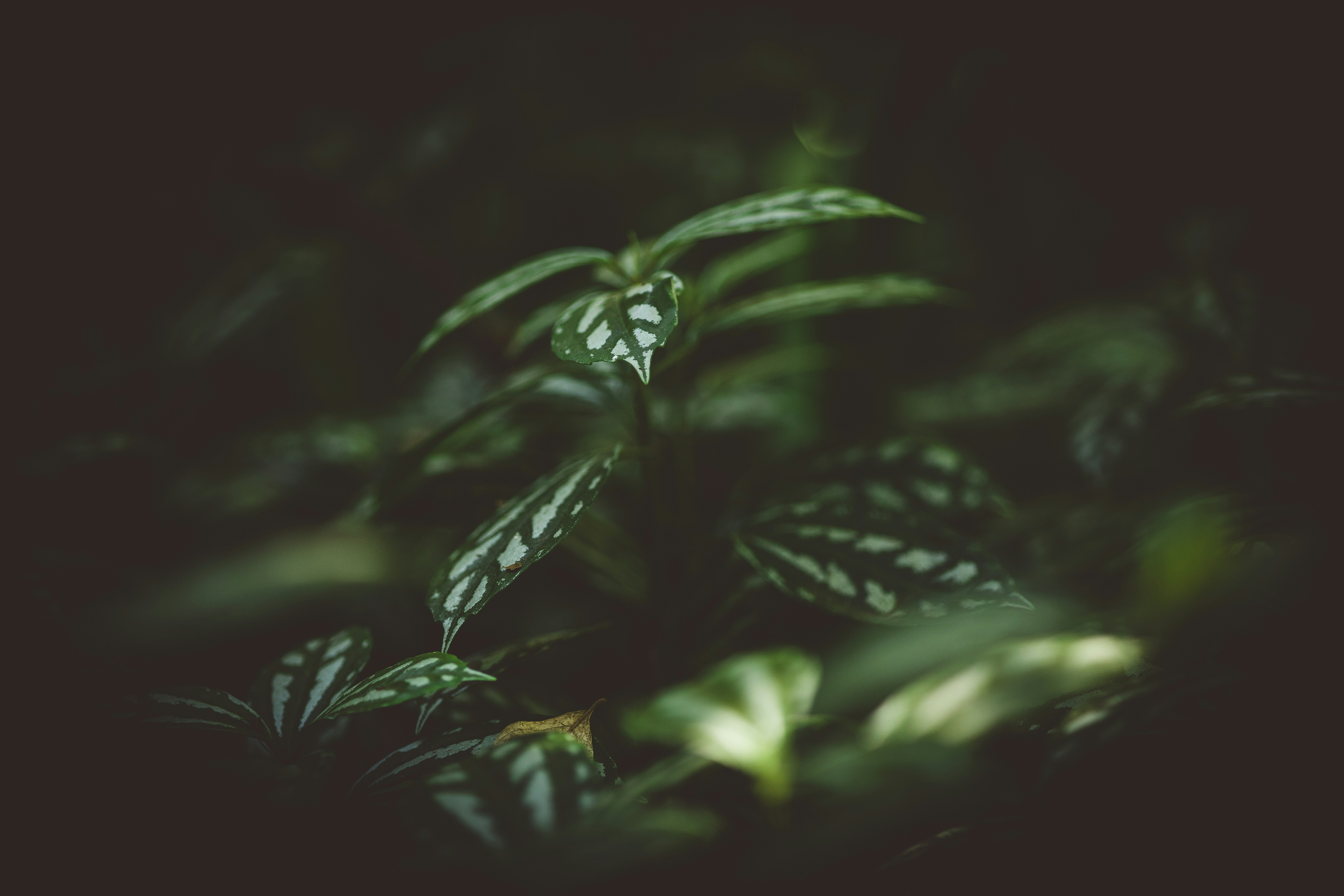 Photo by rrodriguesim