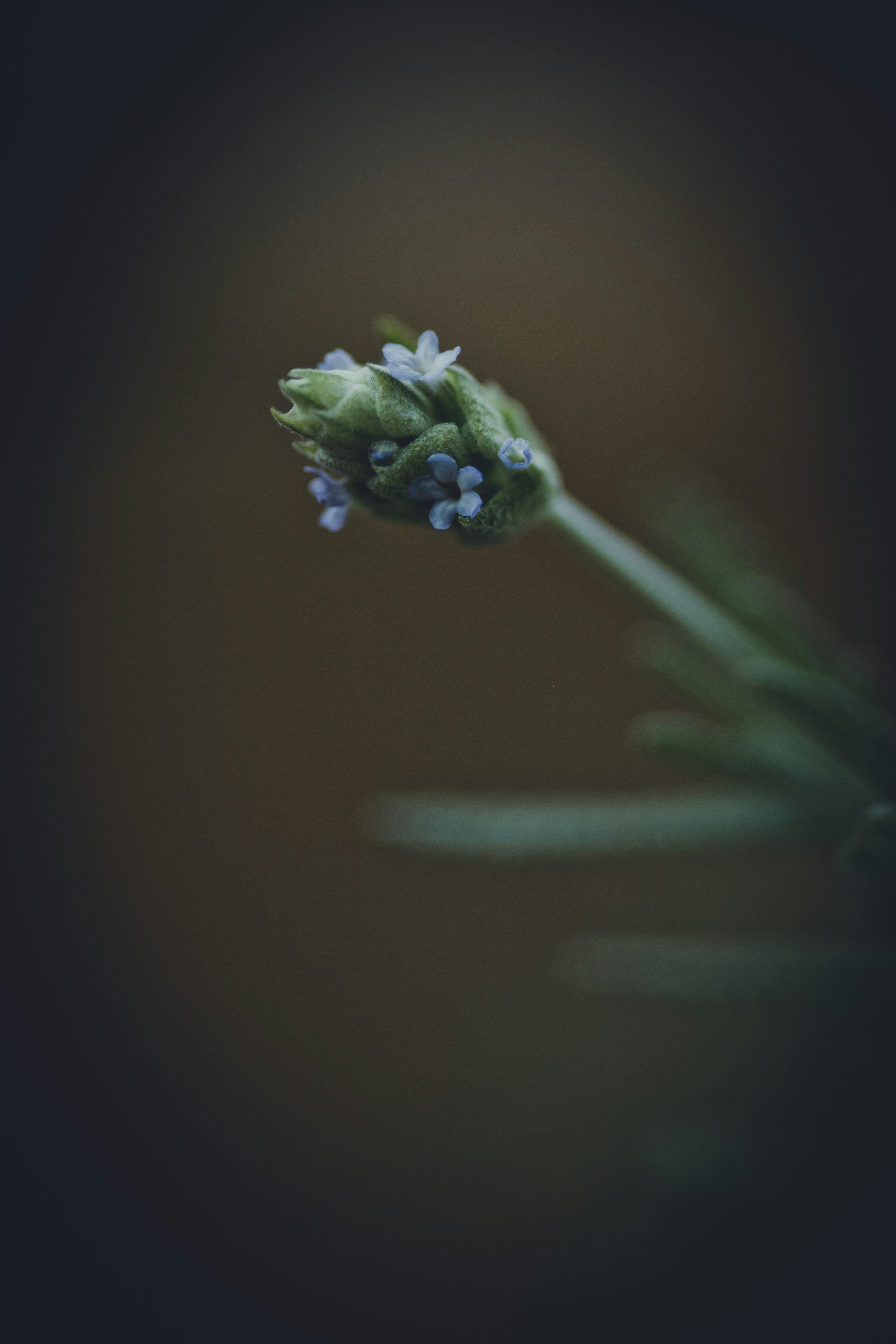 Photo by rrodriguesim