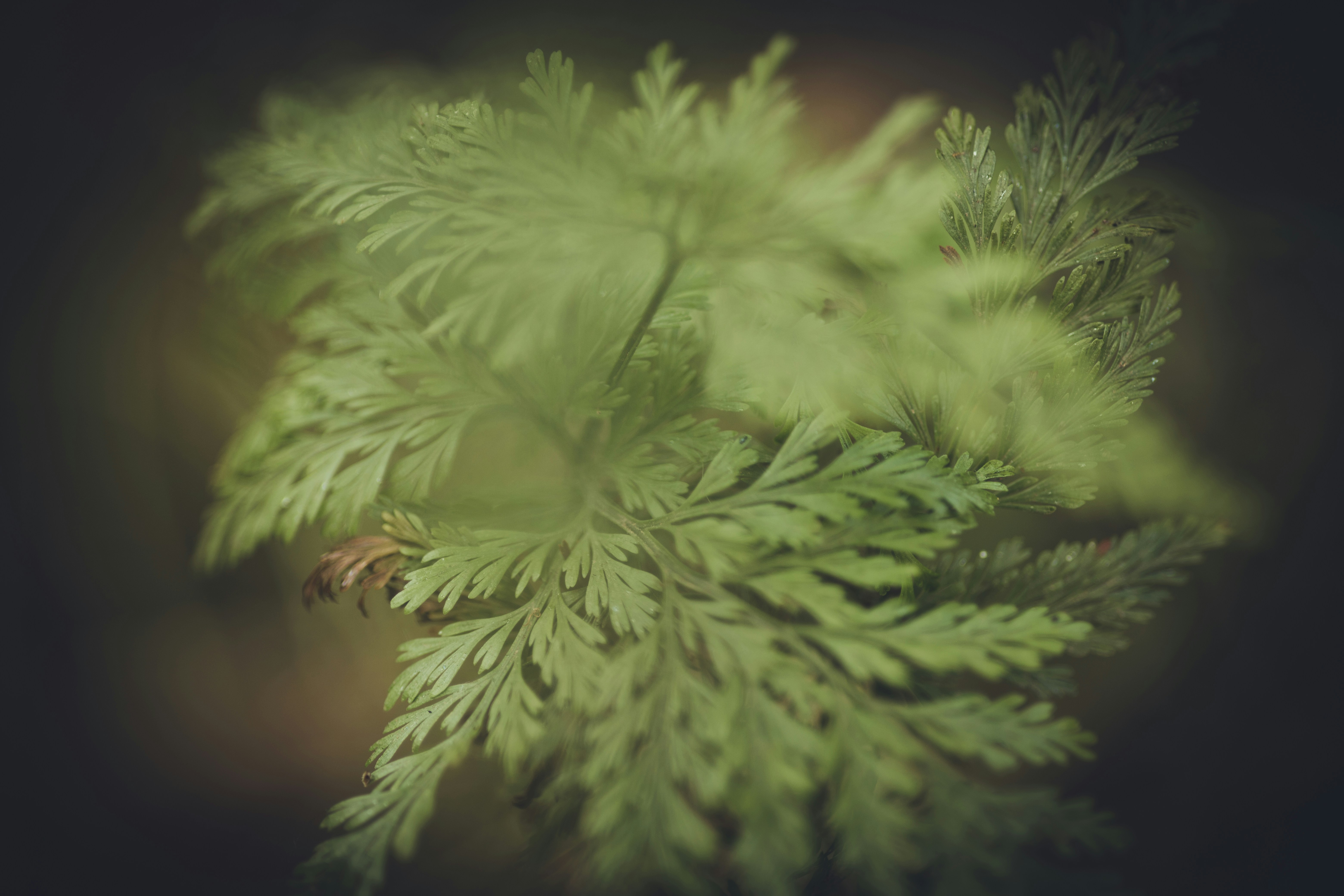 Photo by rrodriguesim