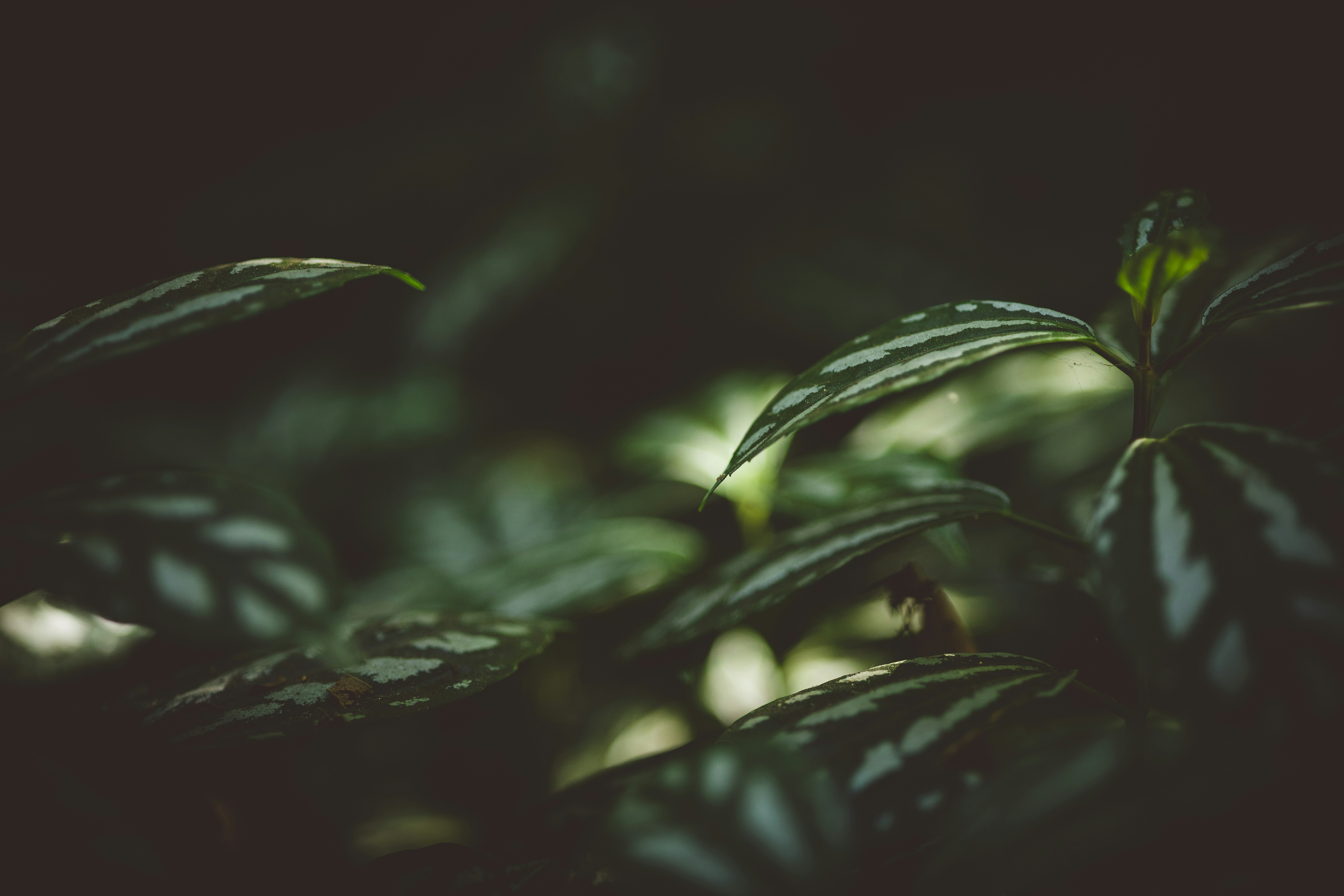 Photo by rrodriguesim