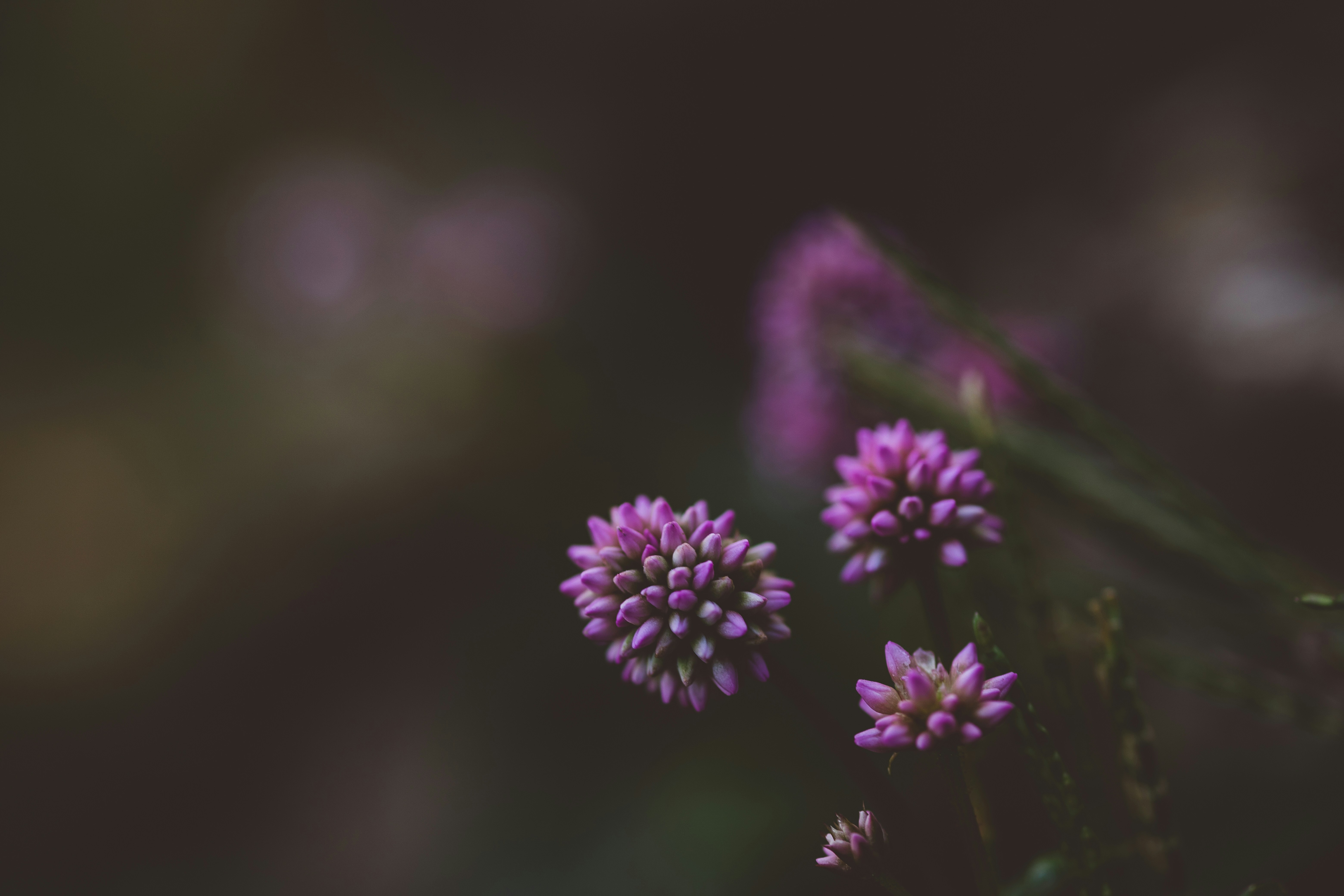 Photo by rrodriguesim